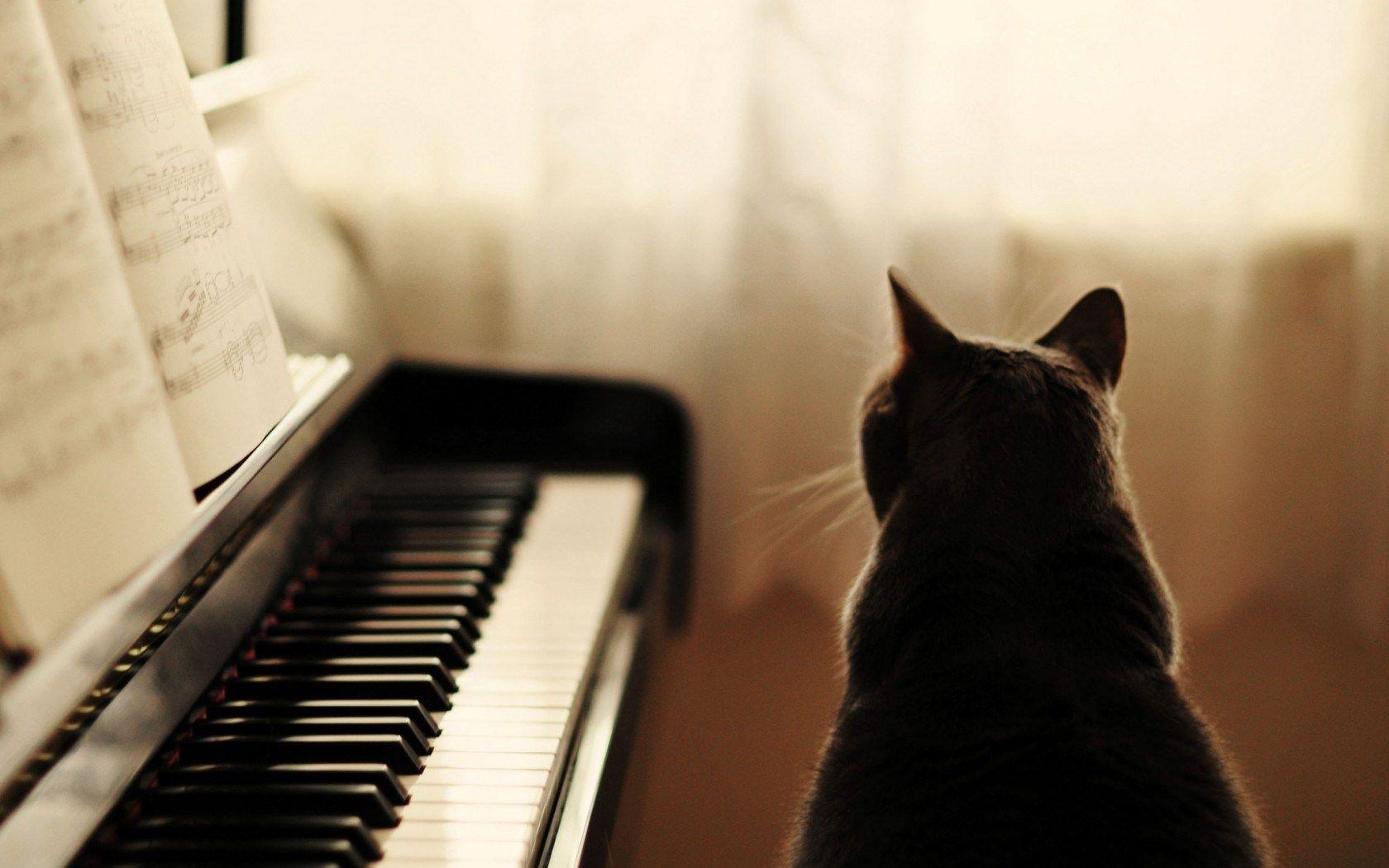 1680x1050 Piano Background. Romantic Piano Wallpaper, Interesting Piano Wallpaper and Old Piano Wallpaper