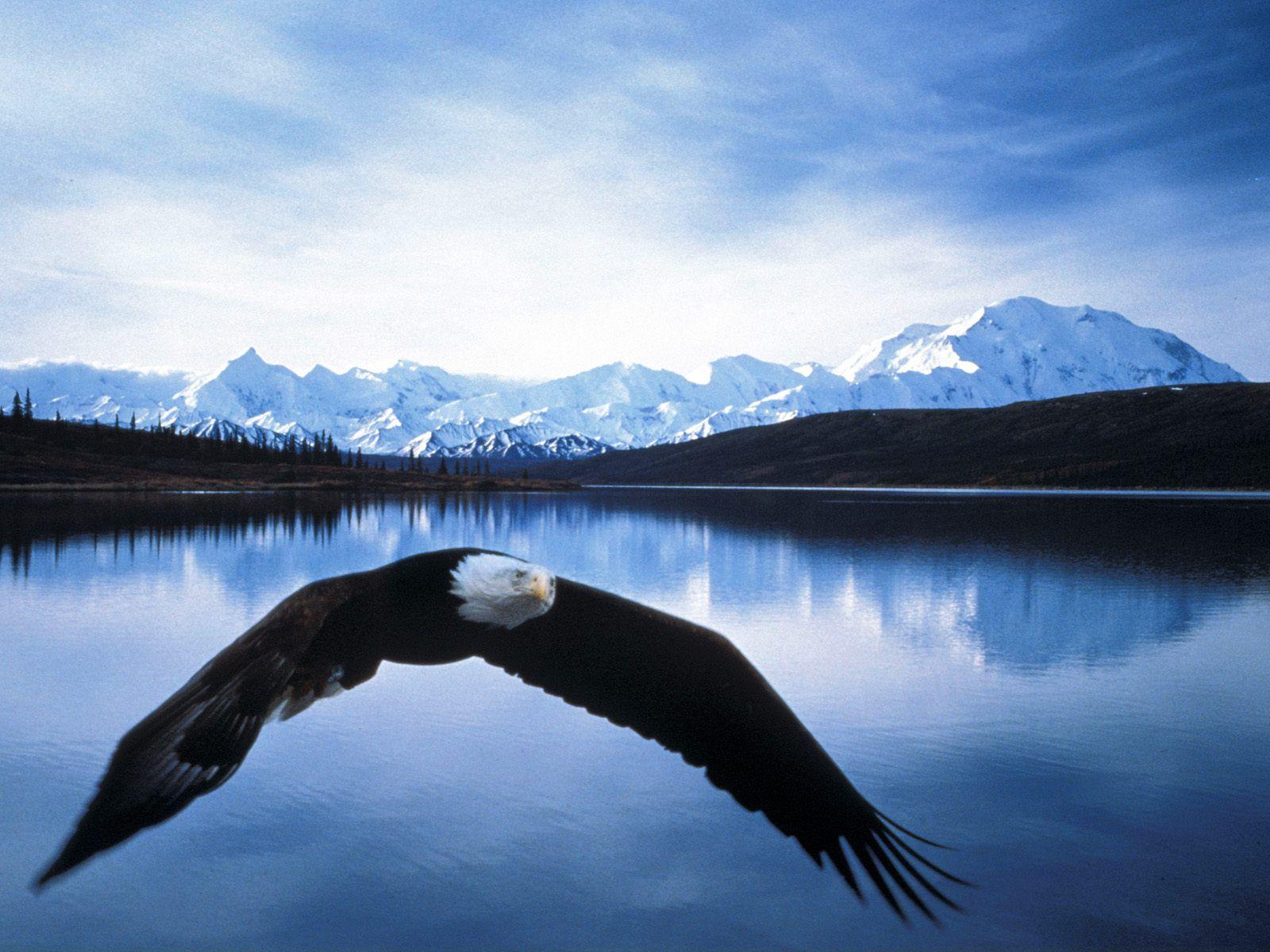 1600x1200 Alaska HD Wallpaper