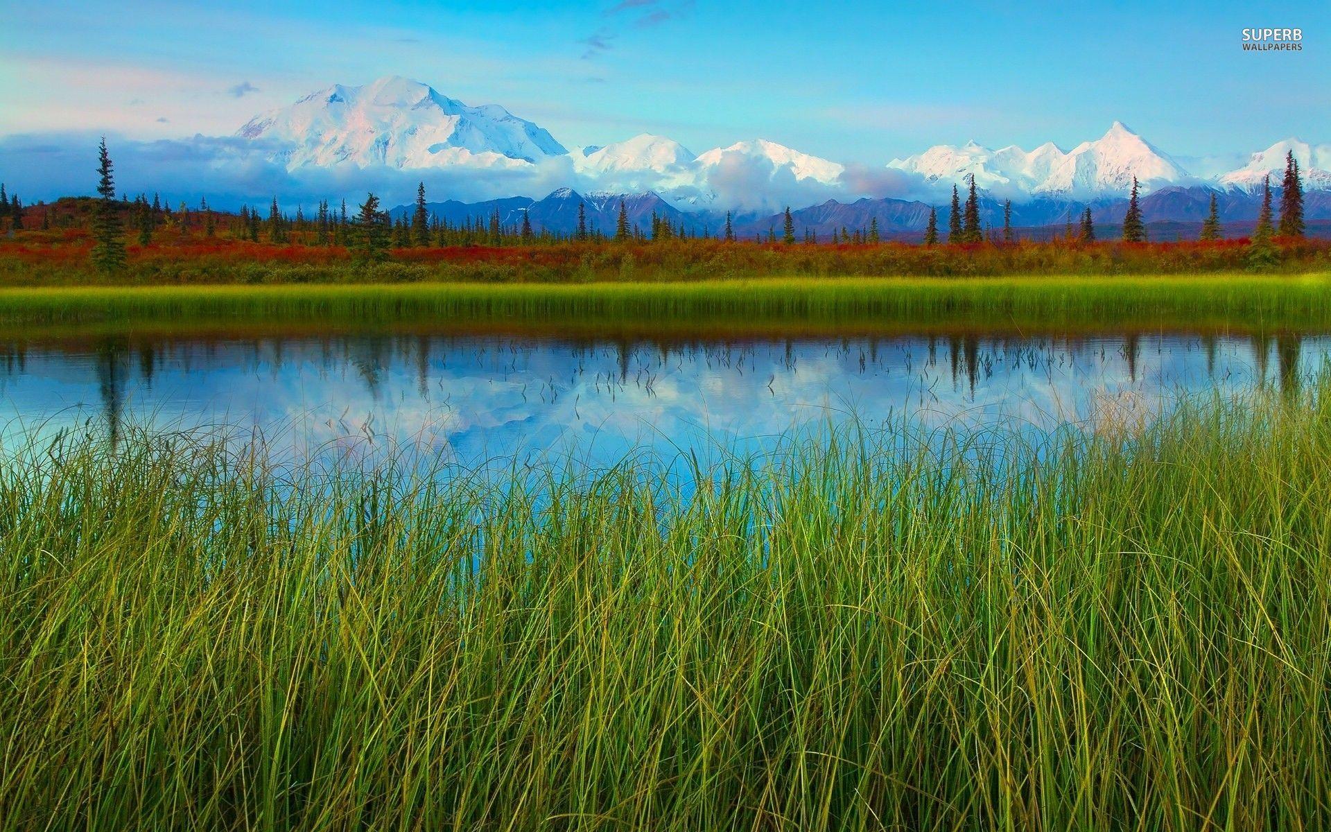 1920x1200 Denali National Park Alaska wallpaper. Denali National Park Alaska