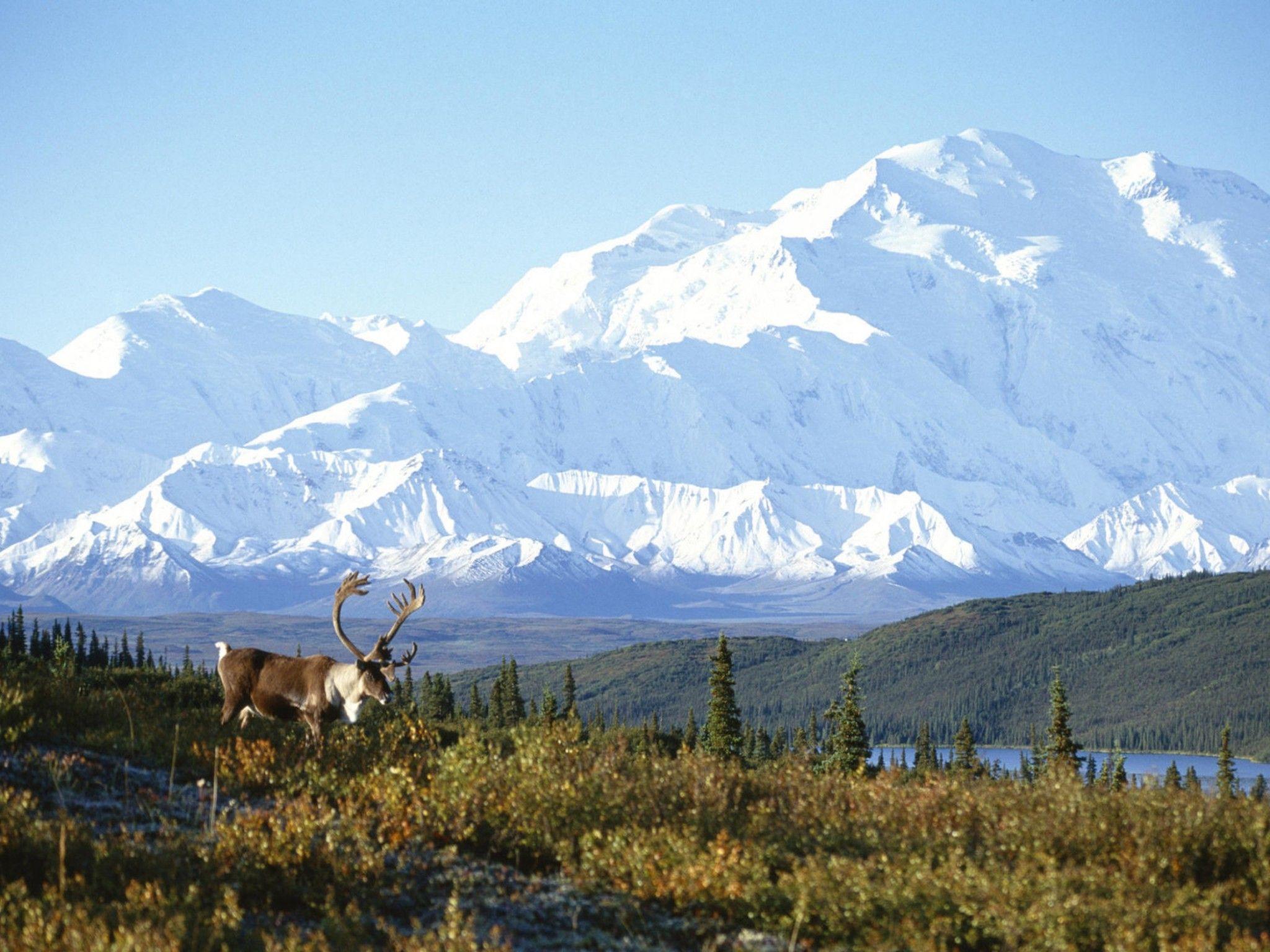 2048x1536 Snow Capped Mountain Alaska Wallpaper