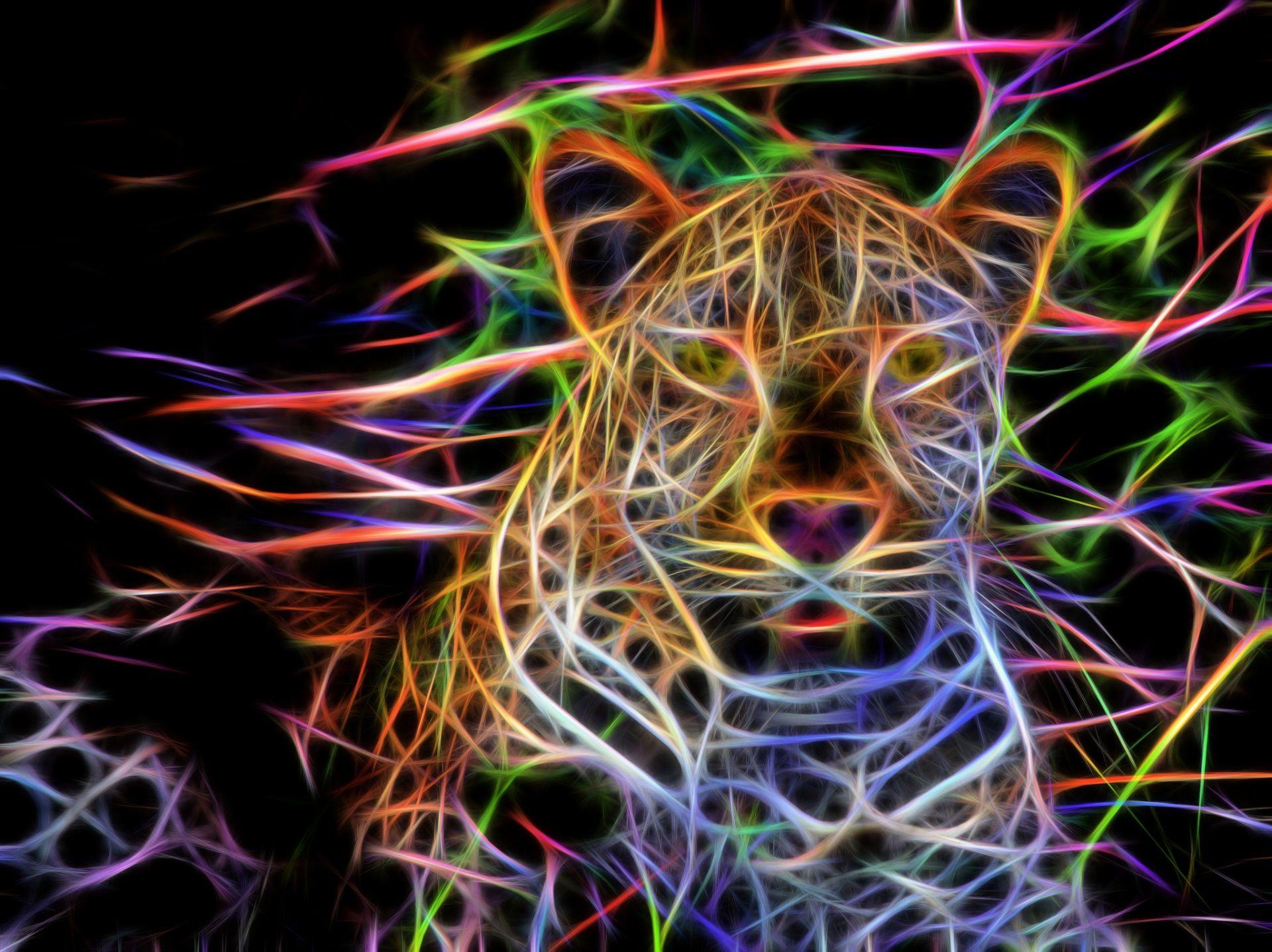 Neon Leopard Wallpapers - Top Free Neon Leopard Backgrounds ...