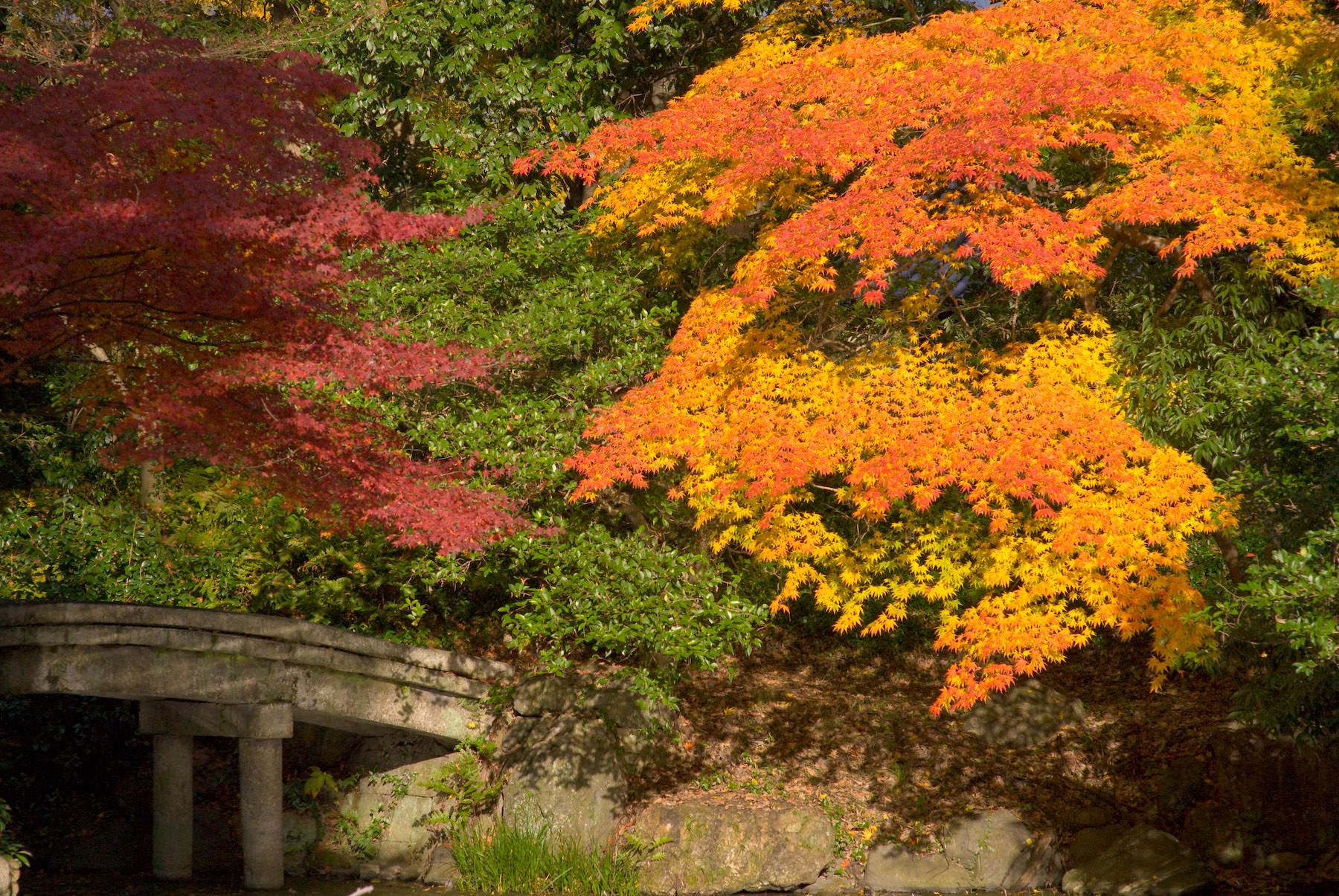 1800x1205 New England Autumn Wallpaper