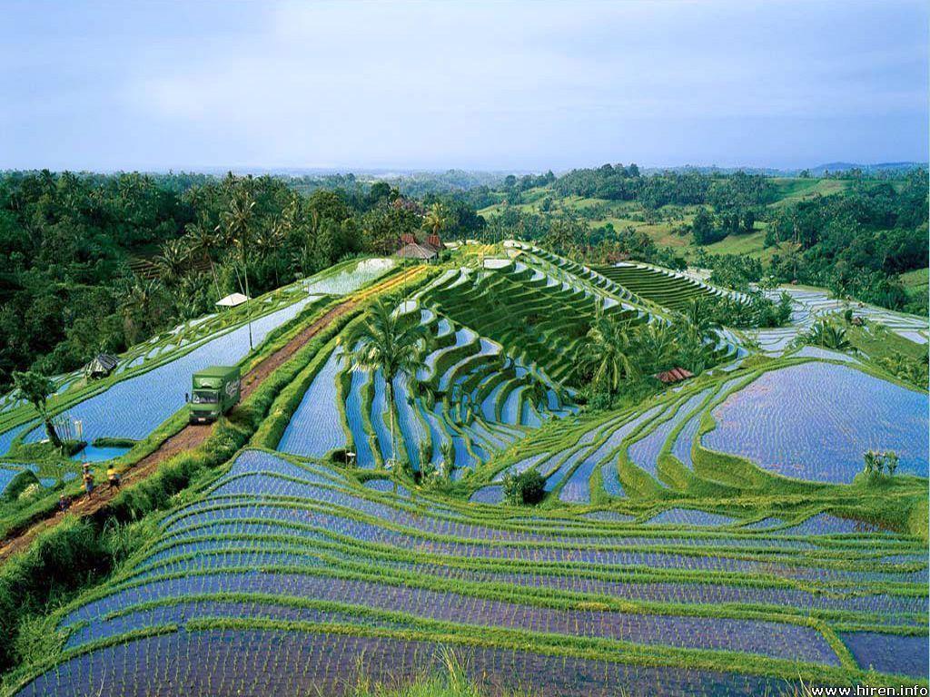 1024x768 Bali Island is a dream come true