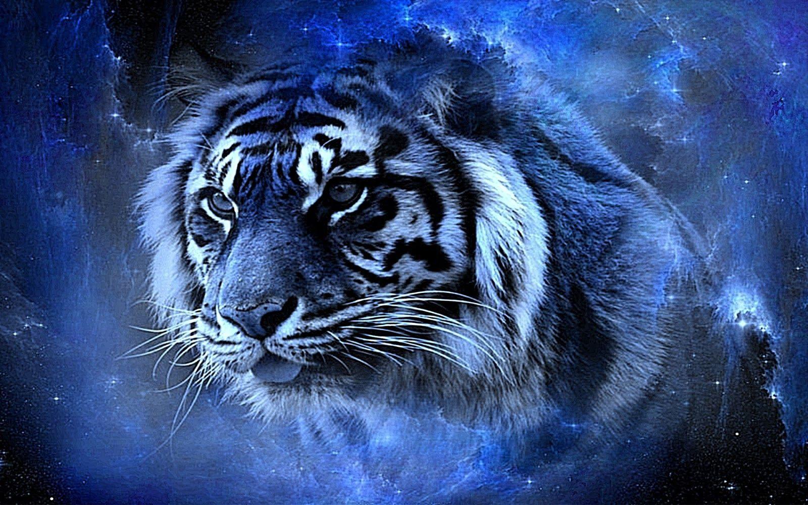 1600x1000 Free download Real Tigers Wallpaper 3D Full HD 4K Top Model Hairstyle [1600x1000] for your Desktop, Mobile & Tablet. Explore Real Wallpaper. Real Wallpaper, Real Funny Wallpaper, Real Mermaid Wallpaper