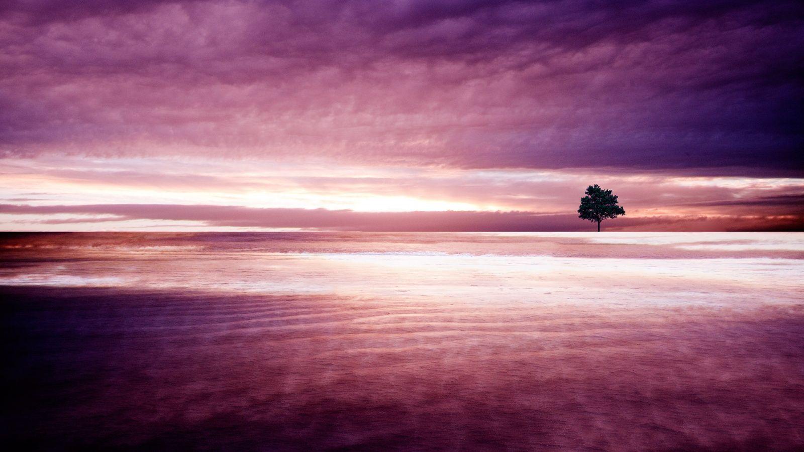 1600x900 Purple Nature. Live HD Wallpaper. Purple background image, Background image, Nature wallpaper