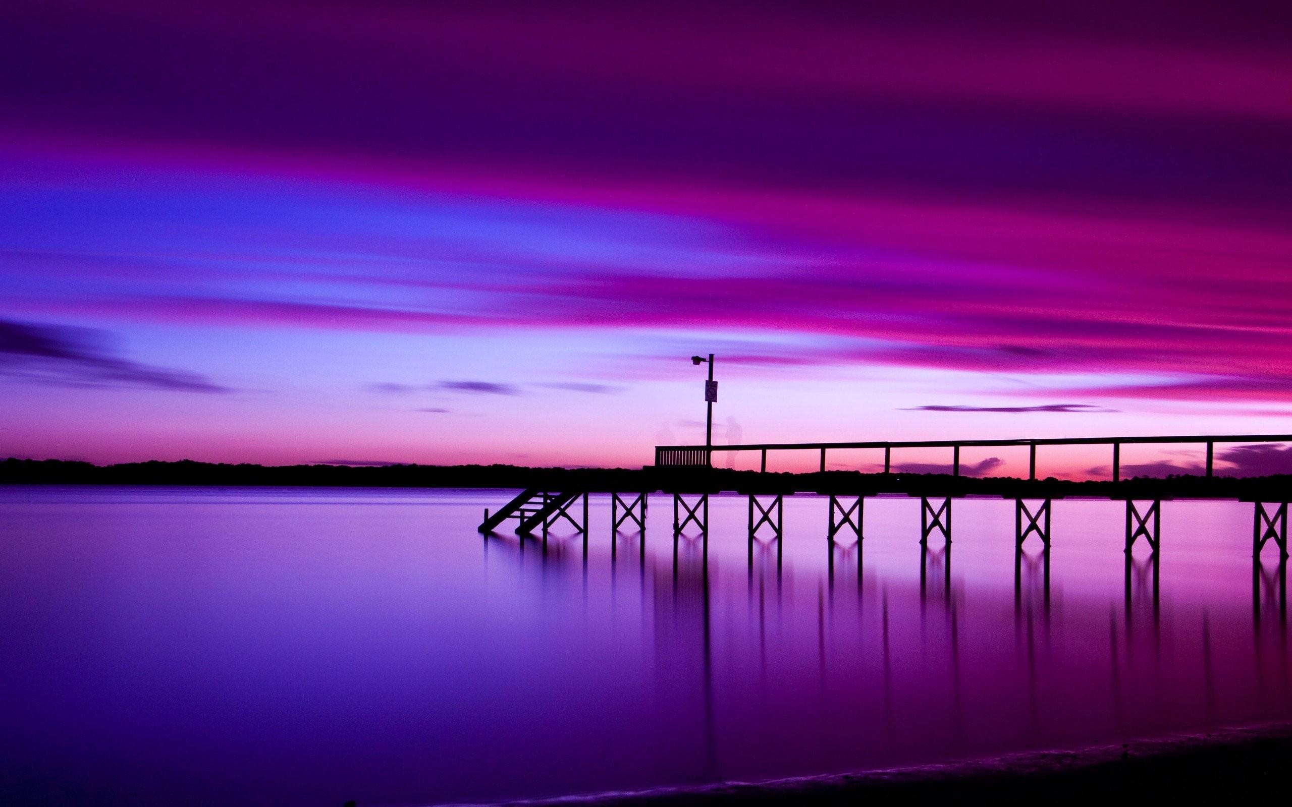 2560x1600 Purple Nature Wallpaper