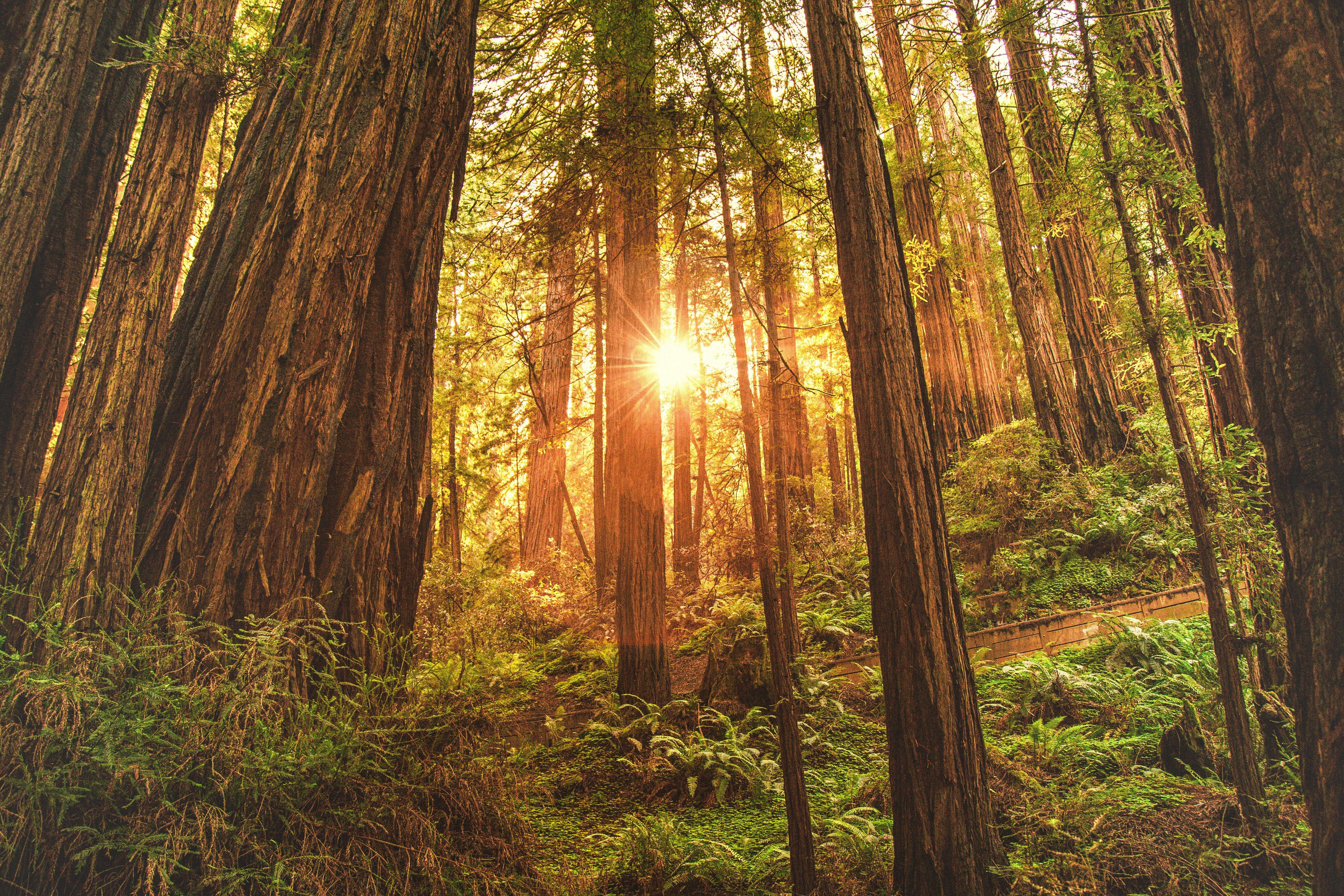 5078x3386 tumblr background HD wallpaper, Background