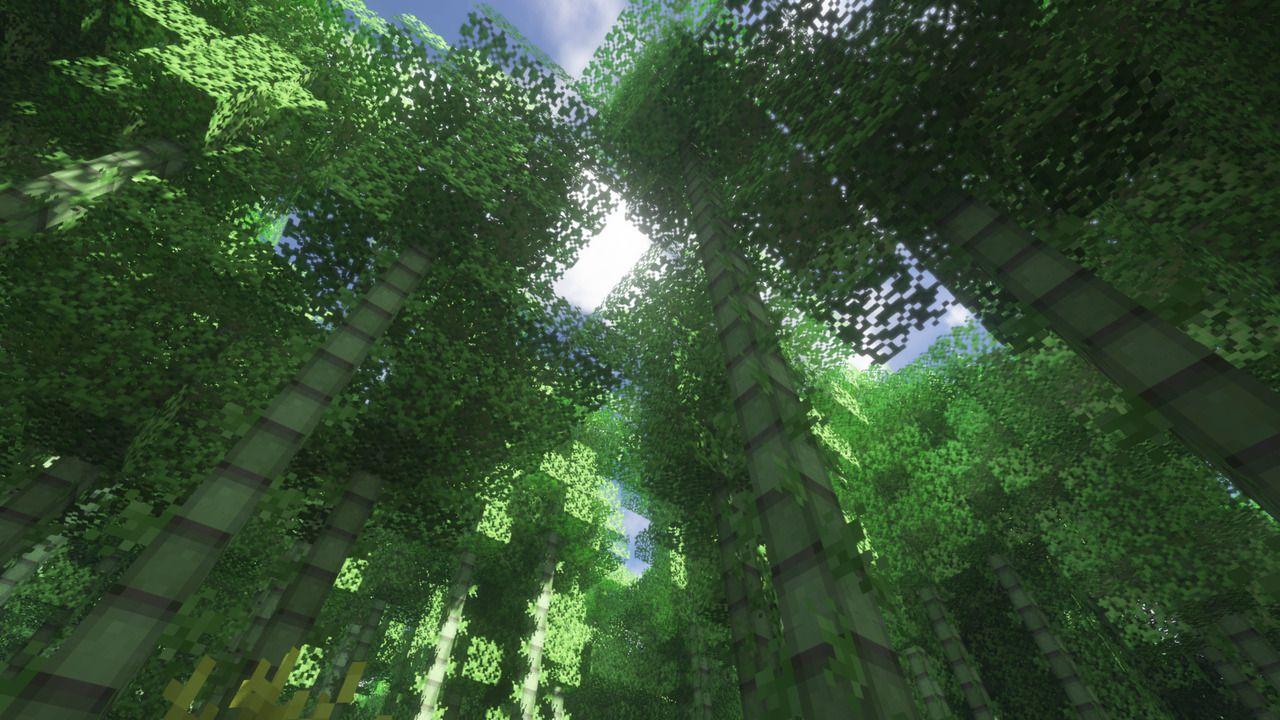 Tumblr Forest Desktop Wallpapers Top Free Tumblr Forest Desktop