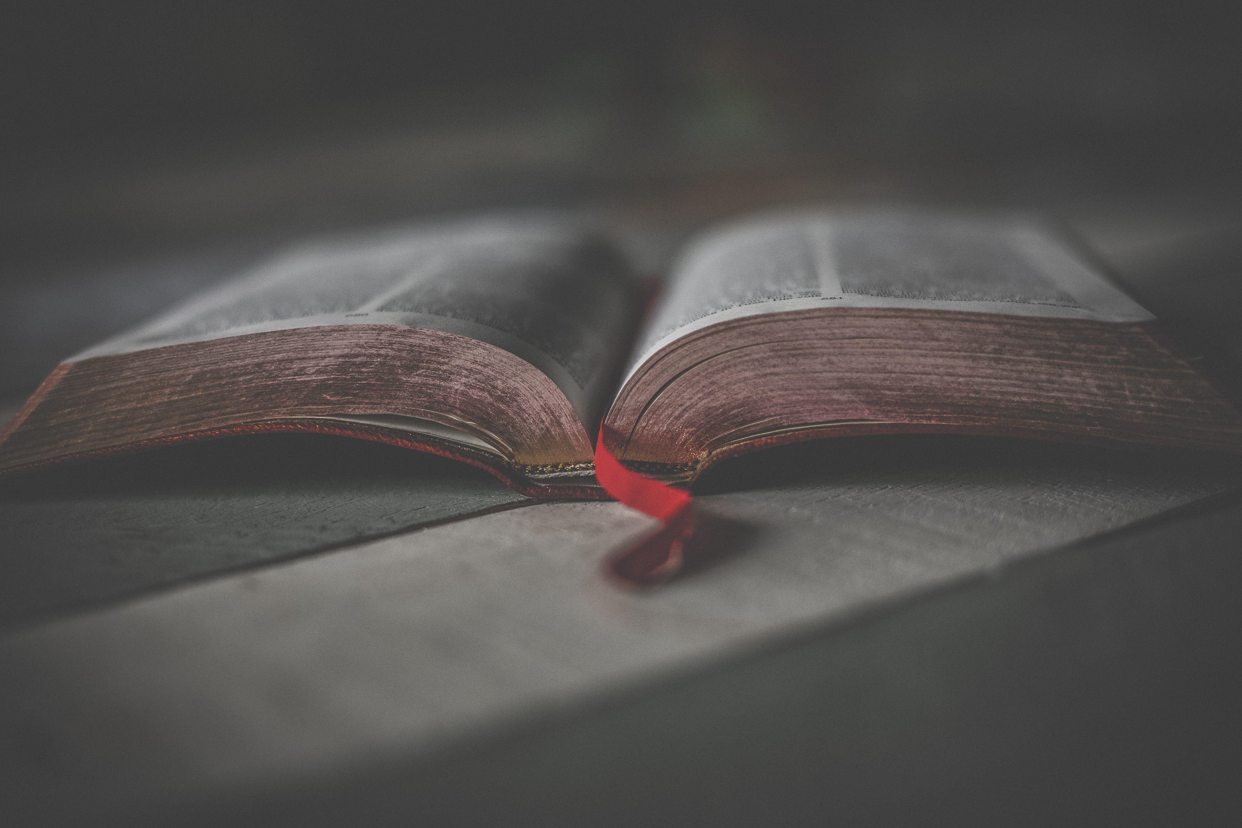 3953x2635 Reading Bible Wallpaper & Background Download