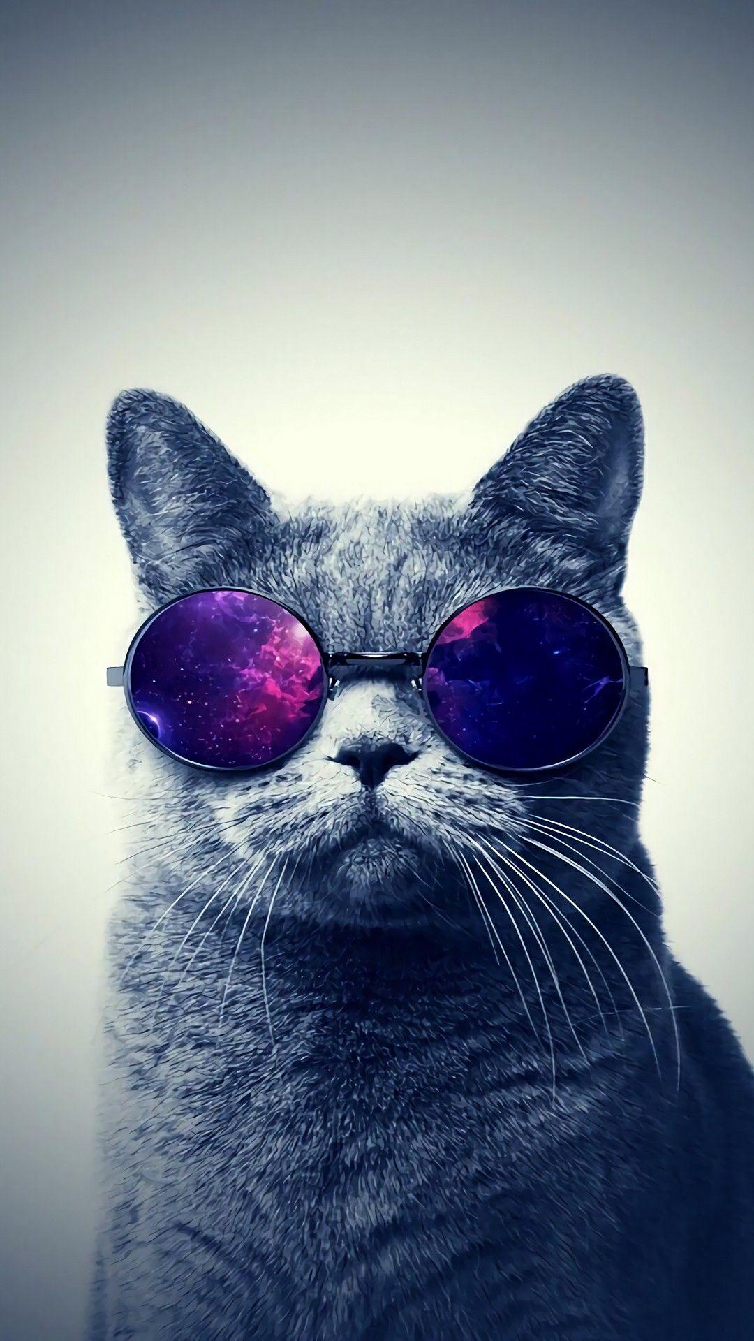 Swag Cat Wallpaper