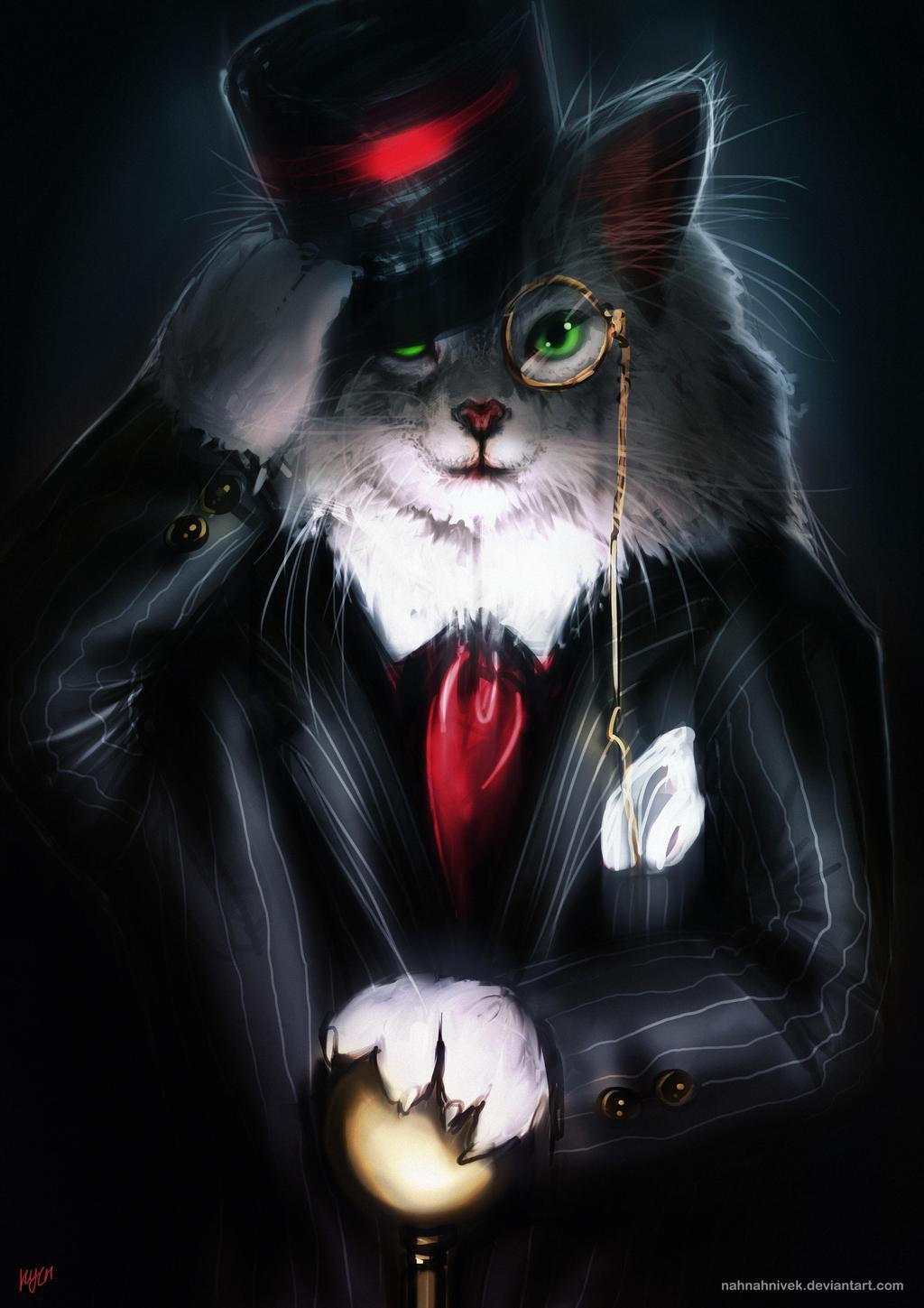 Swag Cat Wallpapers Top Free Swag Cat Backgrounds WallpaperAccess