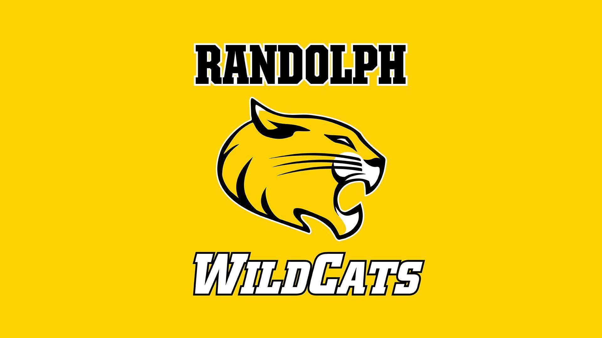 Swag Cat Wallpapers Top Free Swag Cat Backgrounds WallpaperAccess