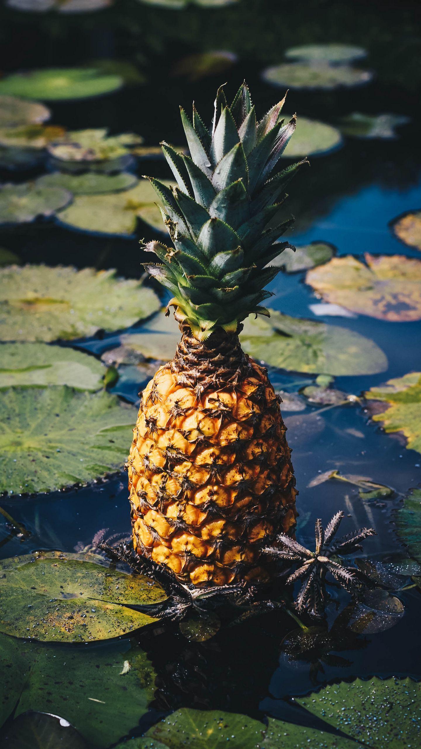 1440x2560 Download wallpaper 1440x2560 pineapple, fruit, exotic fruit, swamp qhd samsung galaxy s s edge, note, lg g4 HD background