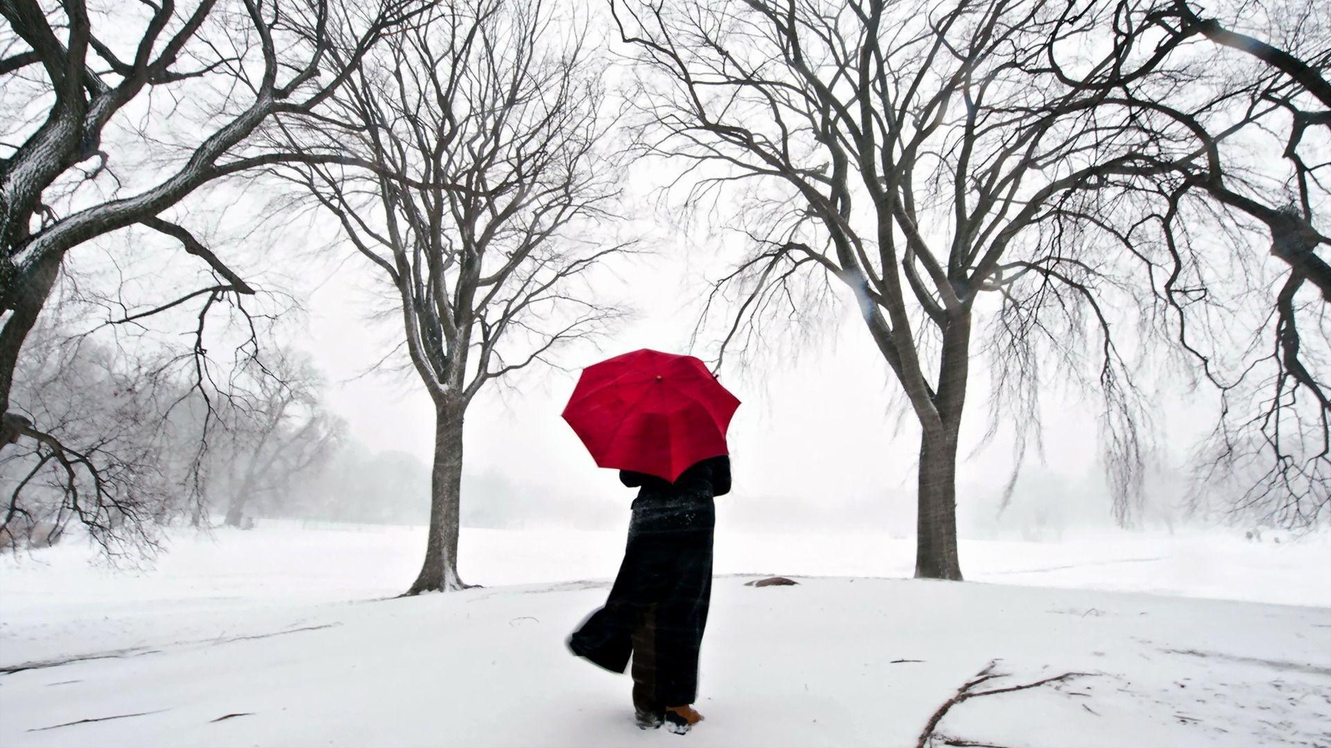 1920x1080 Wallpaper girl, umbrella, cherry, snow, japan