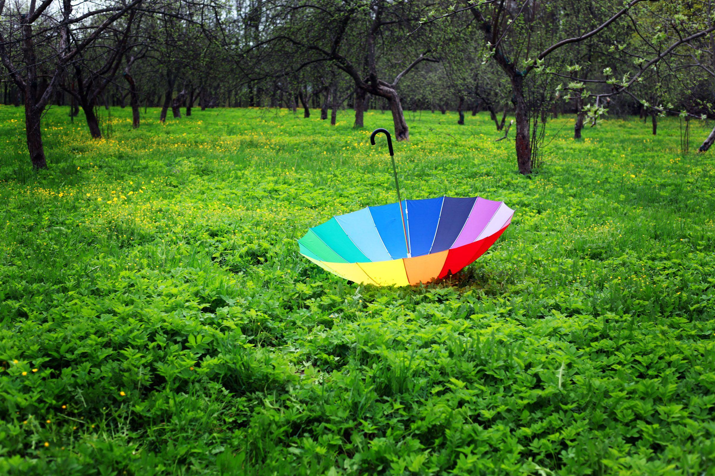 Vintage Umbrella Wallpapers - Top Free Vintage Umbrella Backgrounds