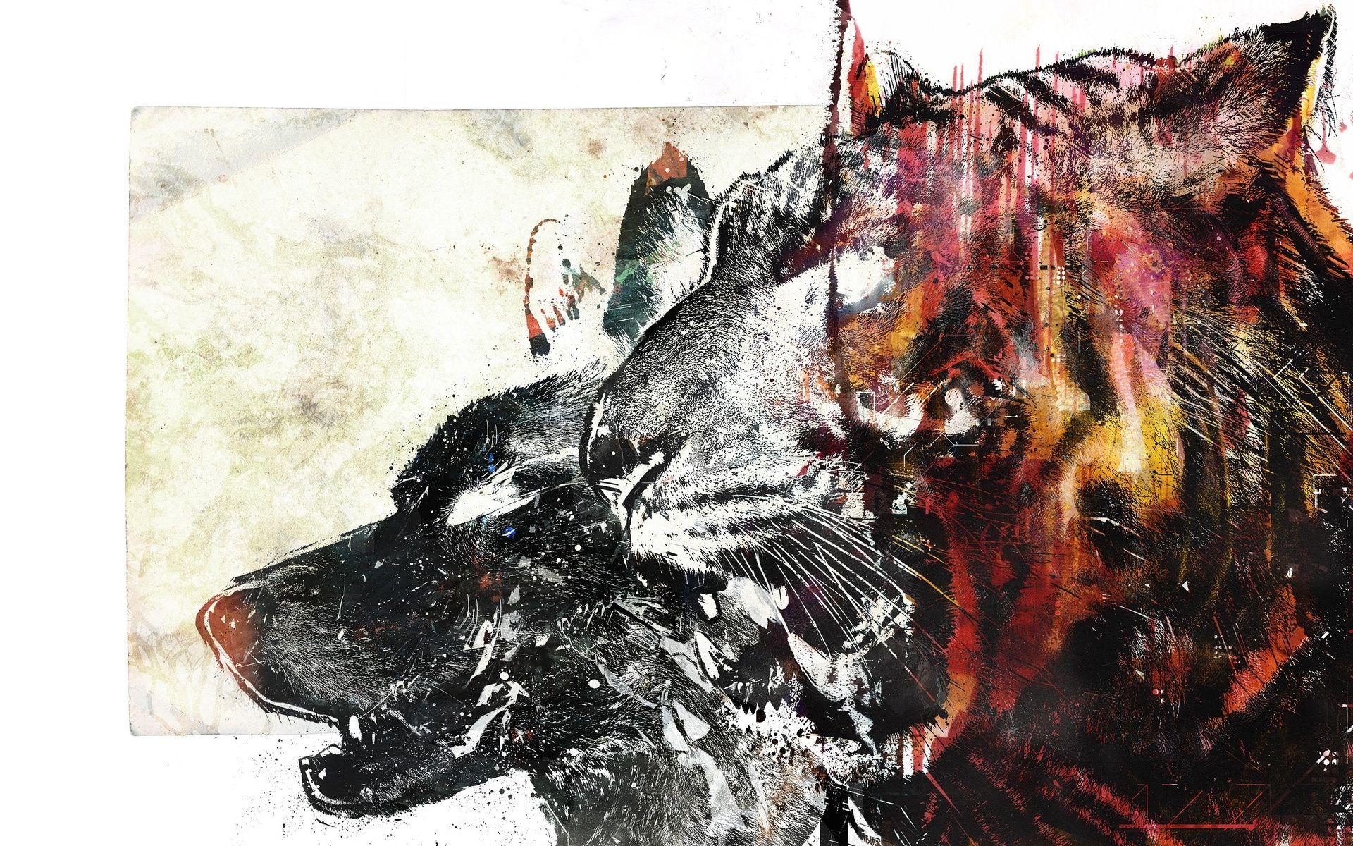 1920x1200 For Your Desktop: 45 Top Quality Draw Wallpaper, B.SCB Wallpaper