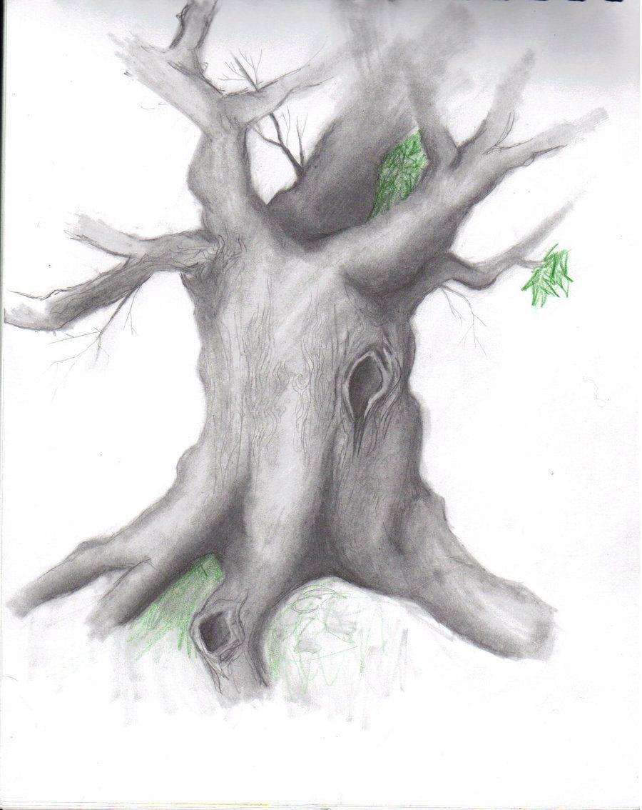 900x1134 Top Model In The World: Sketches of Pencil Art Drawing Mobile Wallpaper