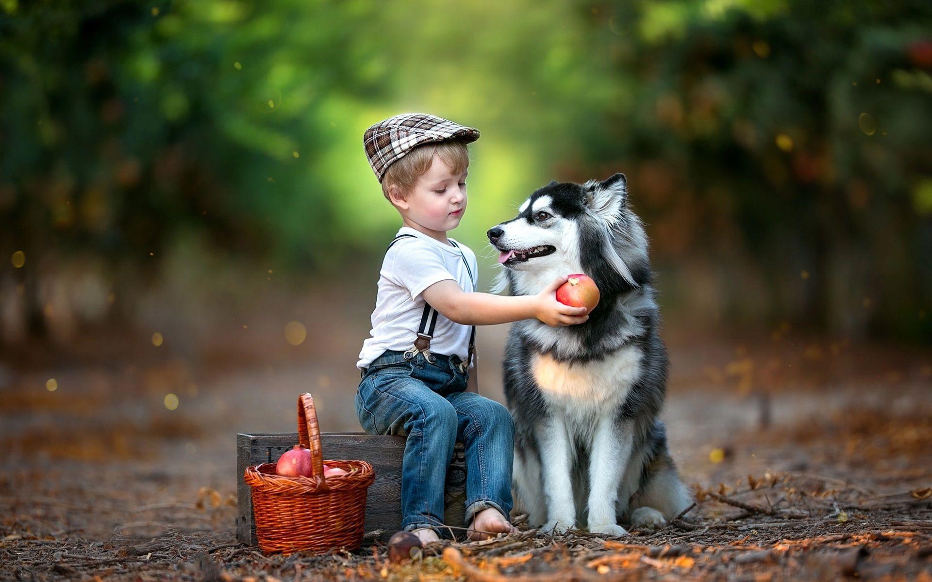 Boy And Dog Wallpapers Top Free Boy And Dog Backgrounds Wallpaperaccess