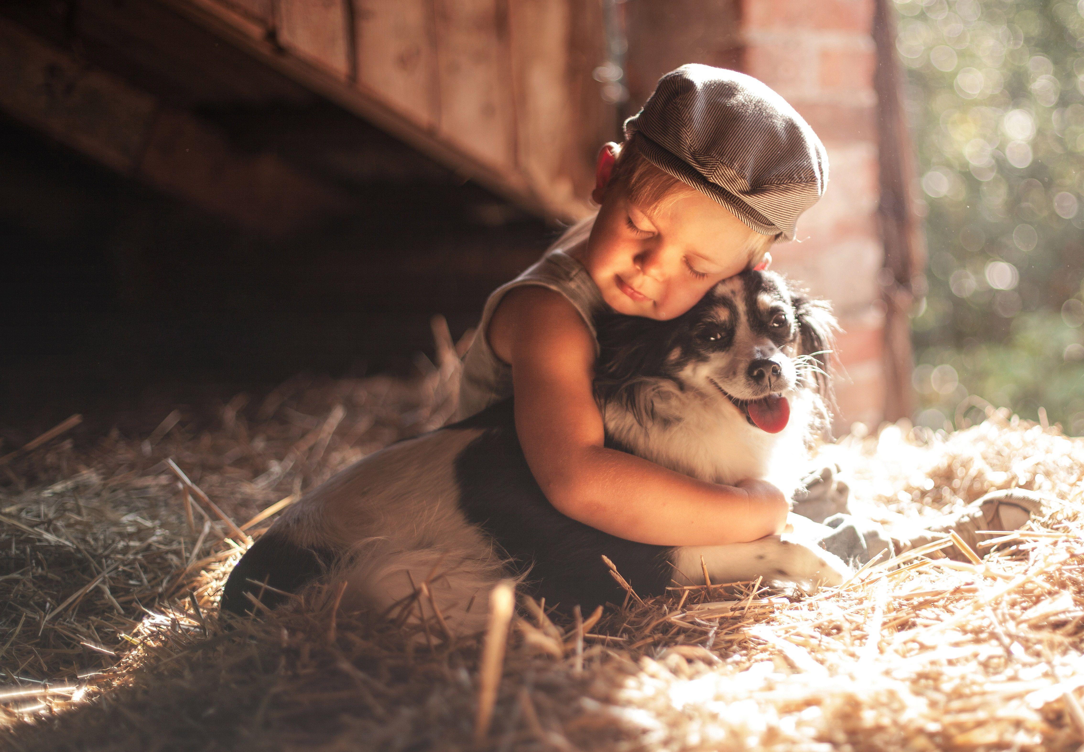 Boy And Dog Wallpapers Top Free Boy And Dog Backgrounds Wallpaperaccess
