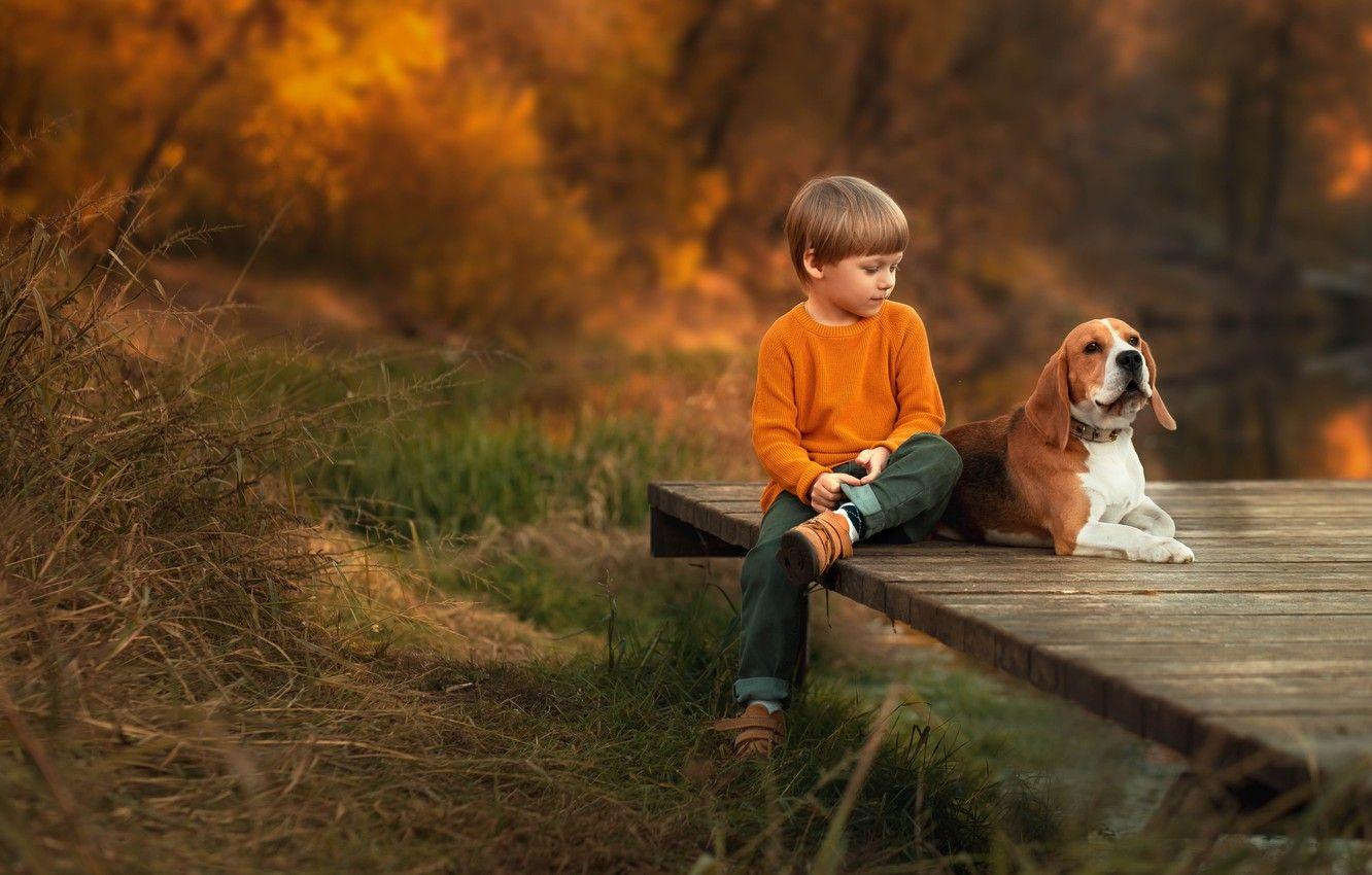 Boy And Dog Wallpapers Top Free Boy And Dog Backgrounds WallpaperAccess