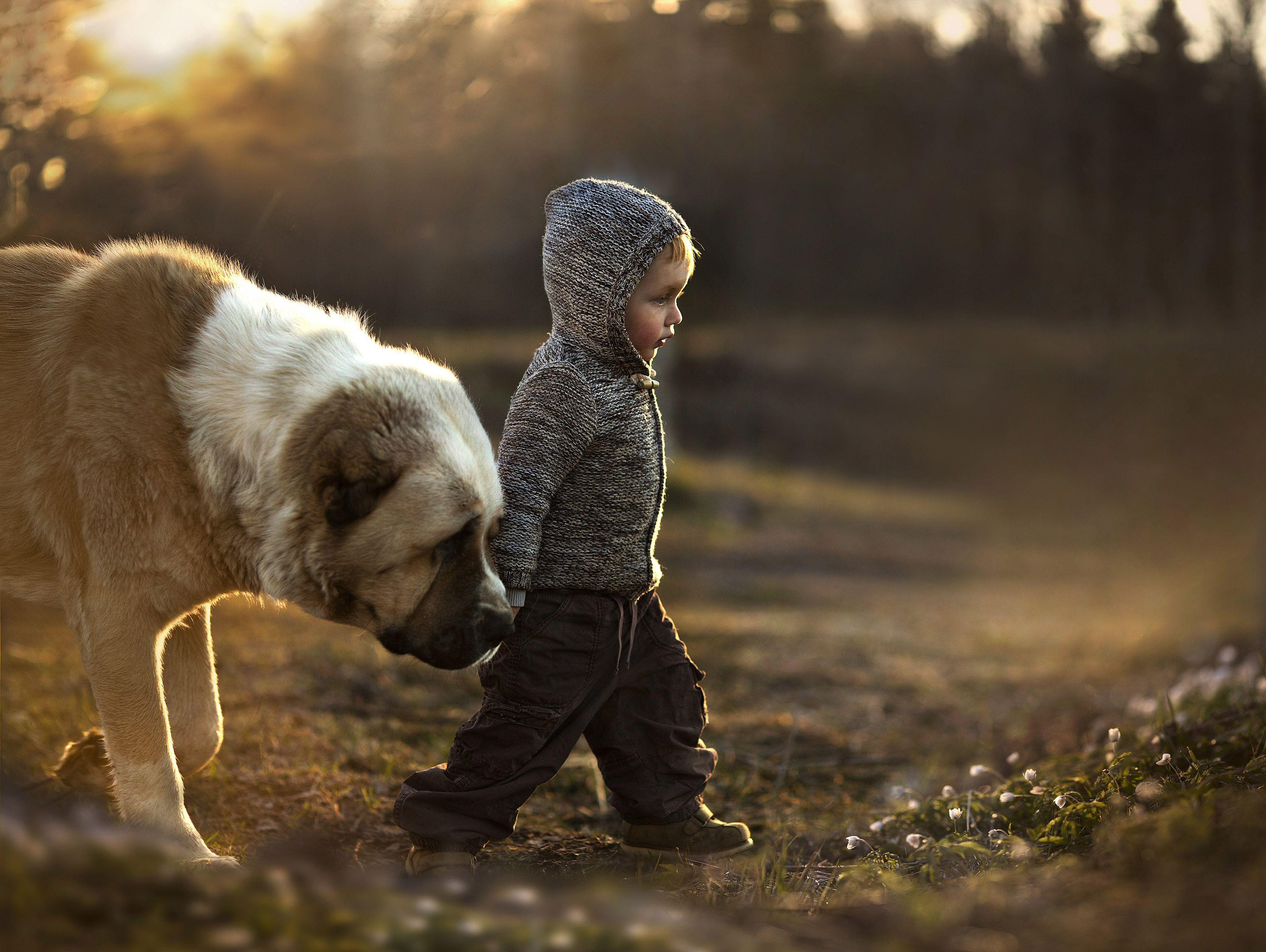 Boy And Dog Wallpapers Top Free Boy And Dog Backgrounds WallpaperAccess