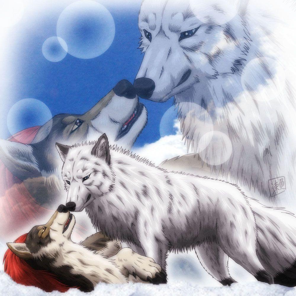 1000x1000 Wolf Couple
