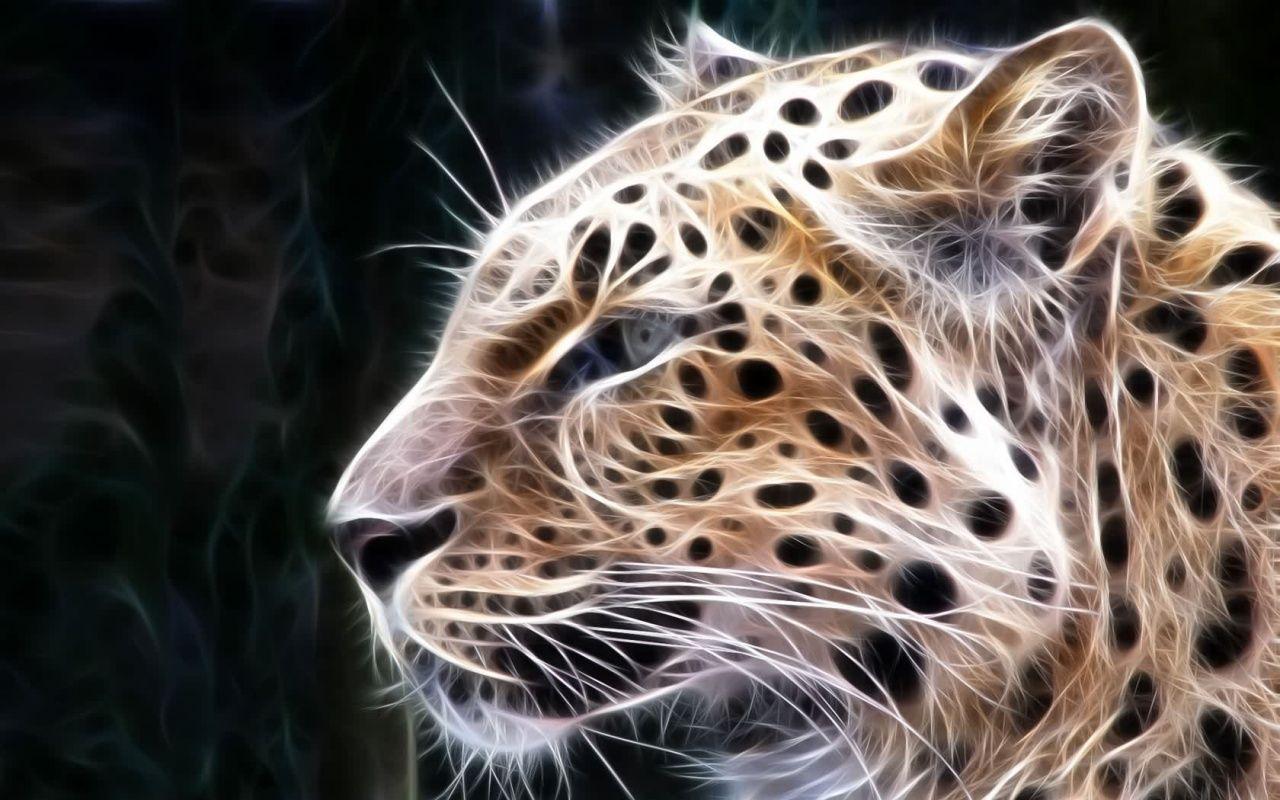 Wild Cat Wallpapers - Top Free Wild Cat Backgrounds - WallpaperAccess