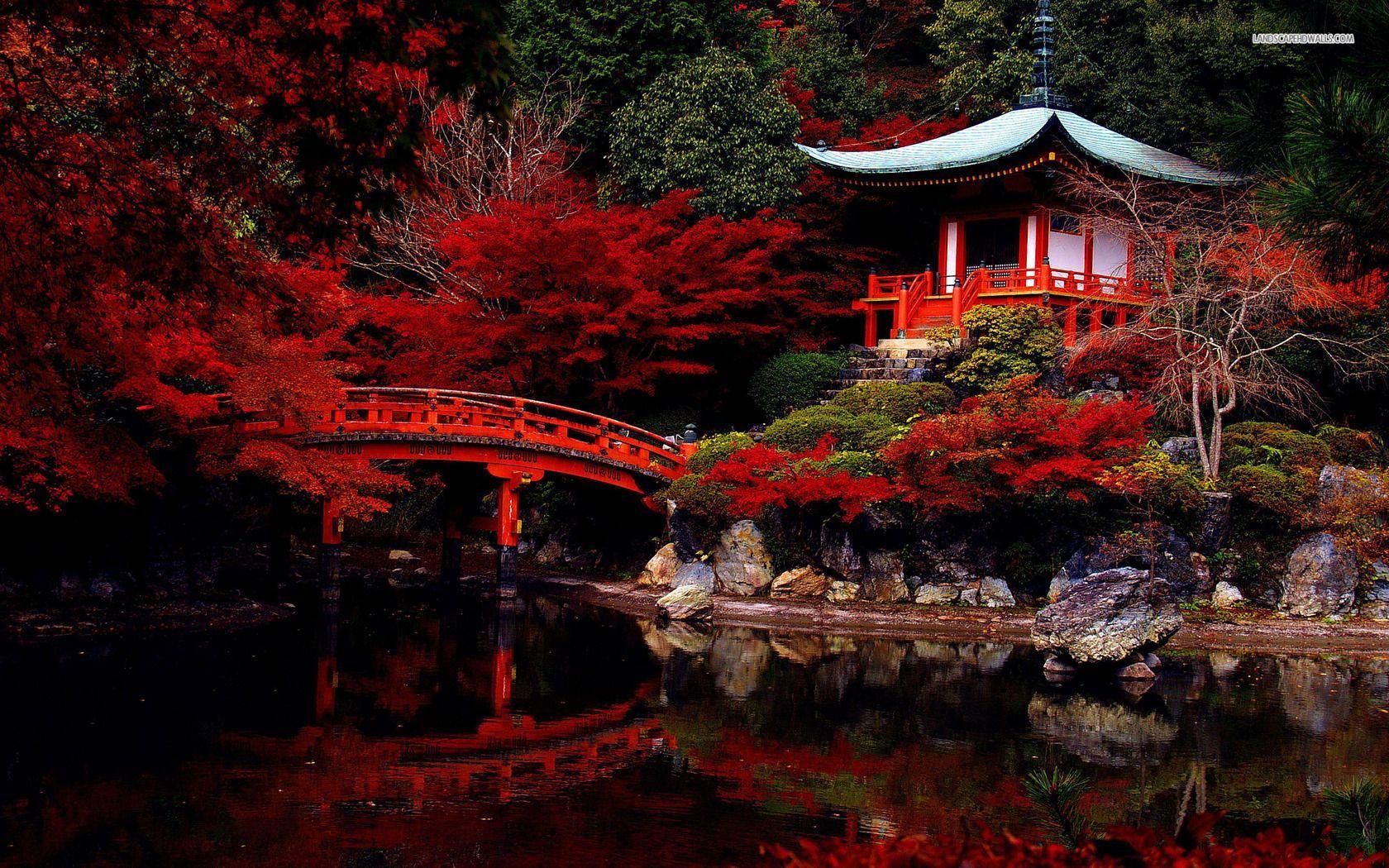 Red Japanese Wallpapers - Top Free Red Japanese Backgrounds -  WallpaperAccess