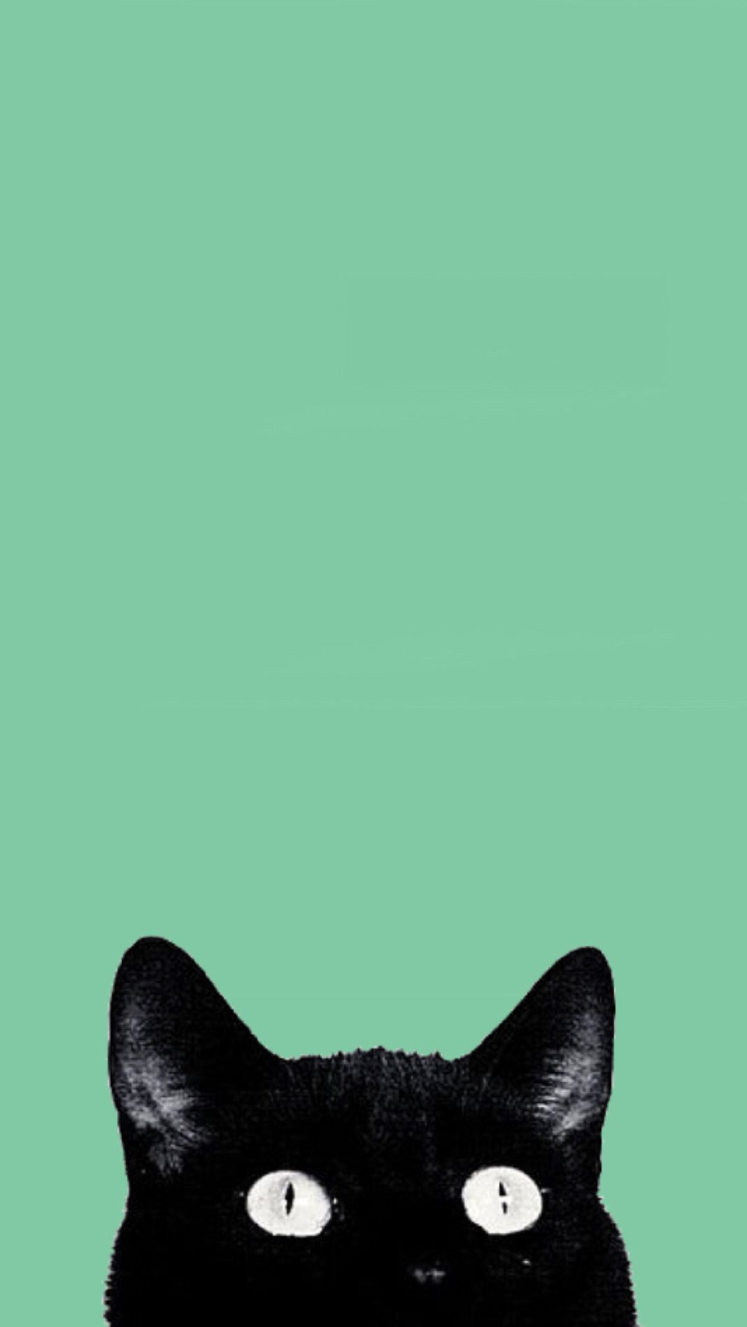 10 Top Green Cat Wallpaper Aesthetic You Can Get It For Free Aesthetic Arena 9163