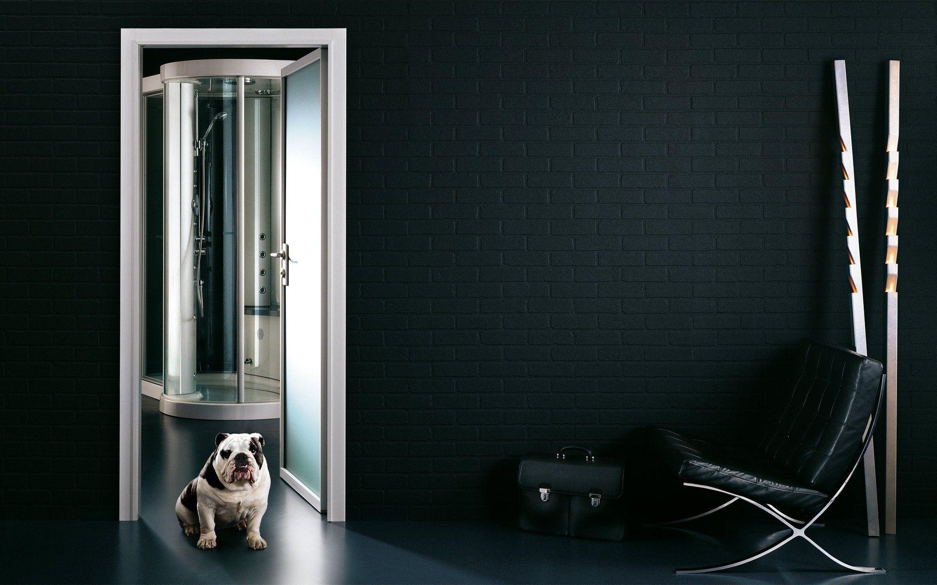 1920x1200 Security Guard Dog