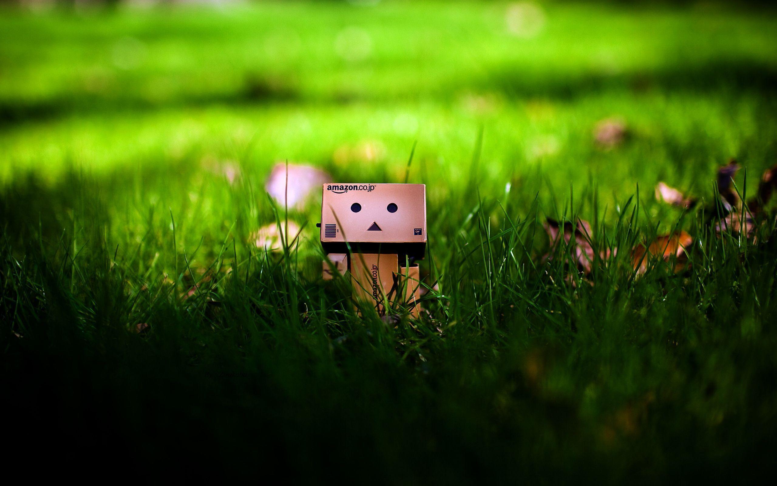 2560x1600 Danbo helping little Danbo HD Wallpaper