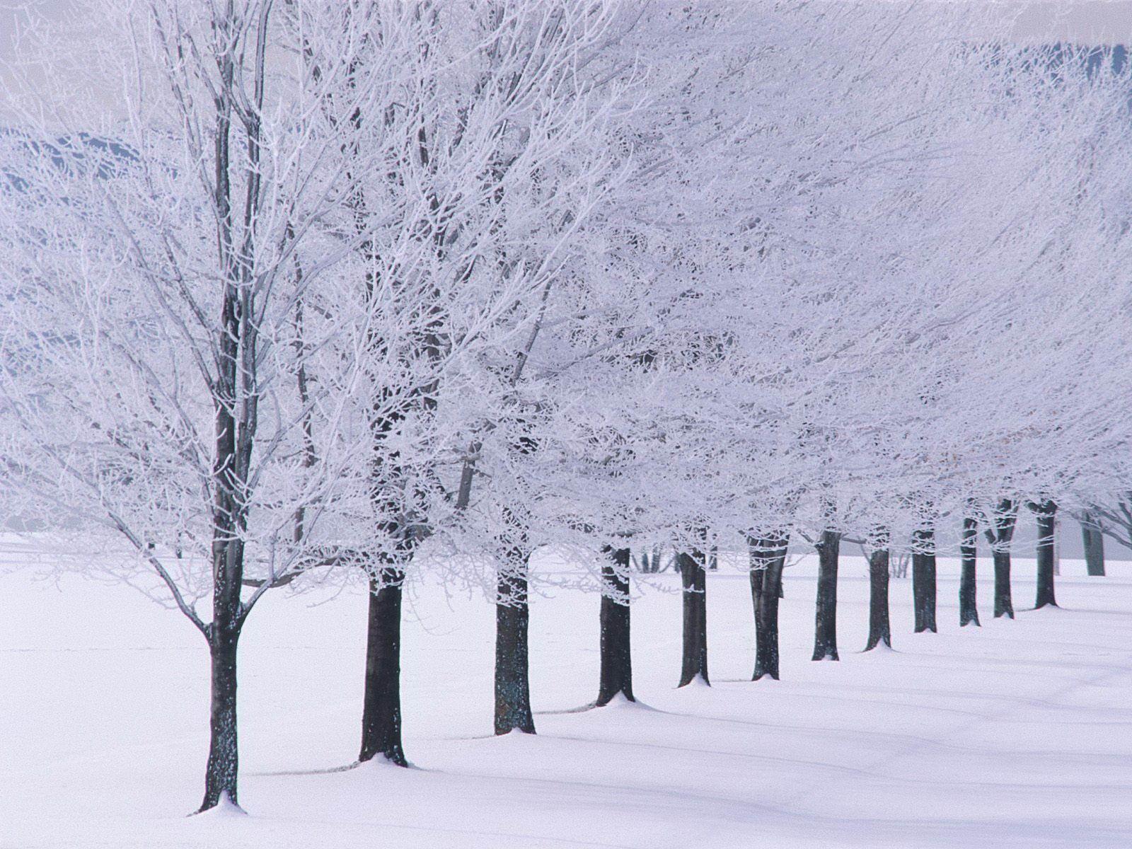 1600x1200 winter scenes in vermont for desktop.. download and install Animated Snow Desktop Wallpaper. Winter wallpaper, Free winter wallpaper, Winter wallpaper desktop