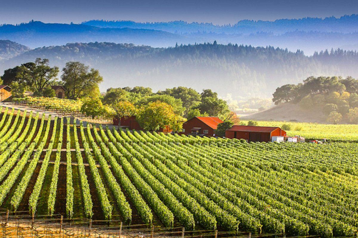 Napa California HD Wallpapers - Top Free Napa California HD Backgrounds