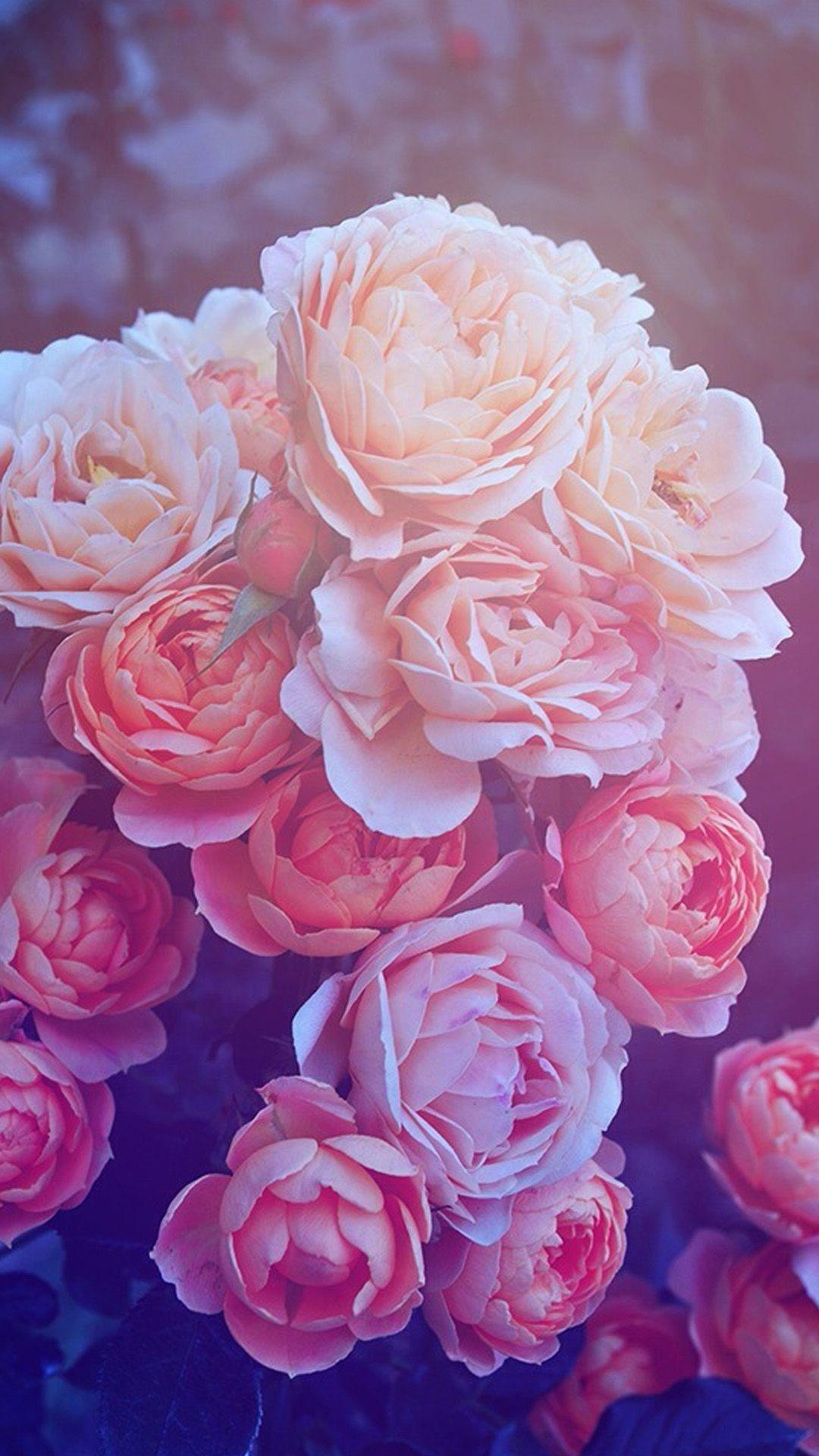 1080x1920 Rose Gold HD Wallpaper