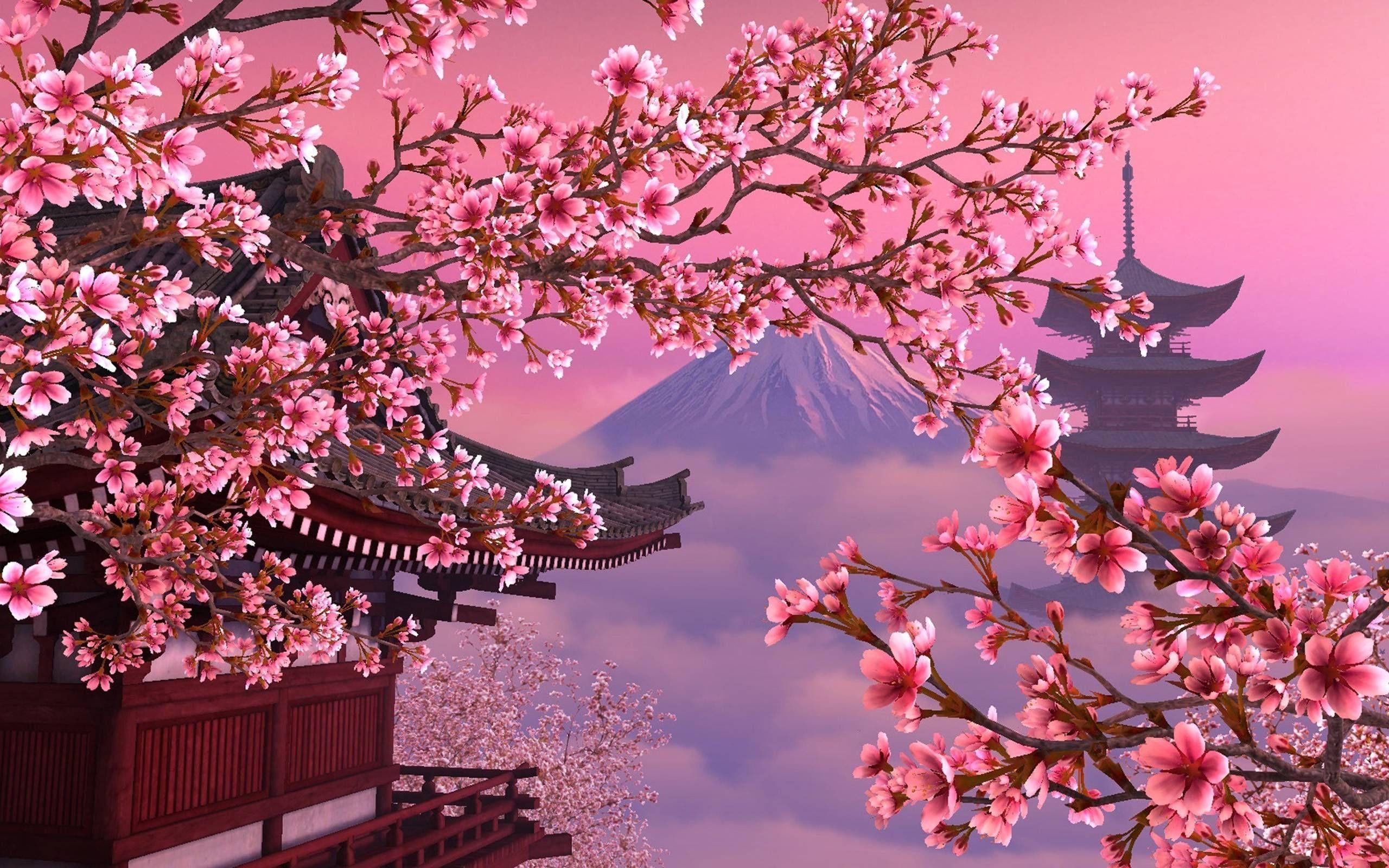 2560x1600 Aesthetic Computer Sakura Wallpaper