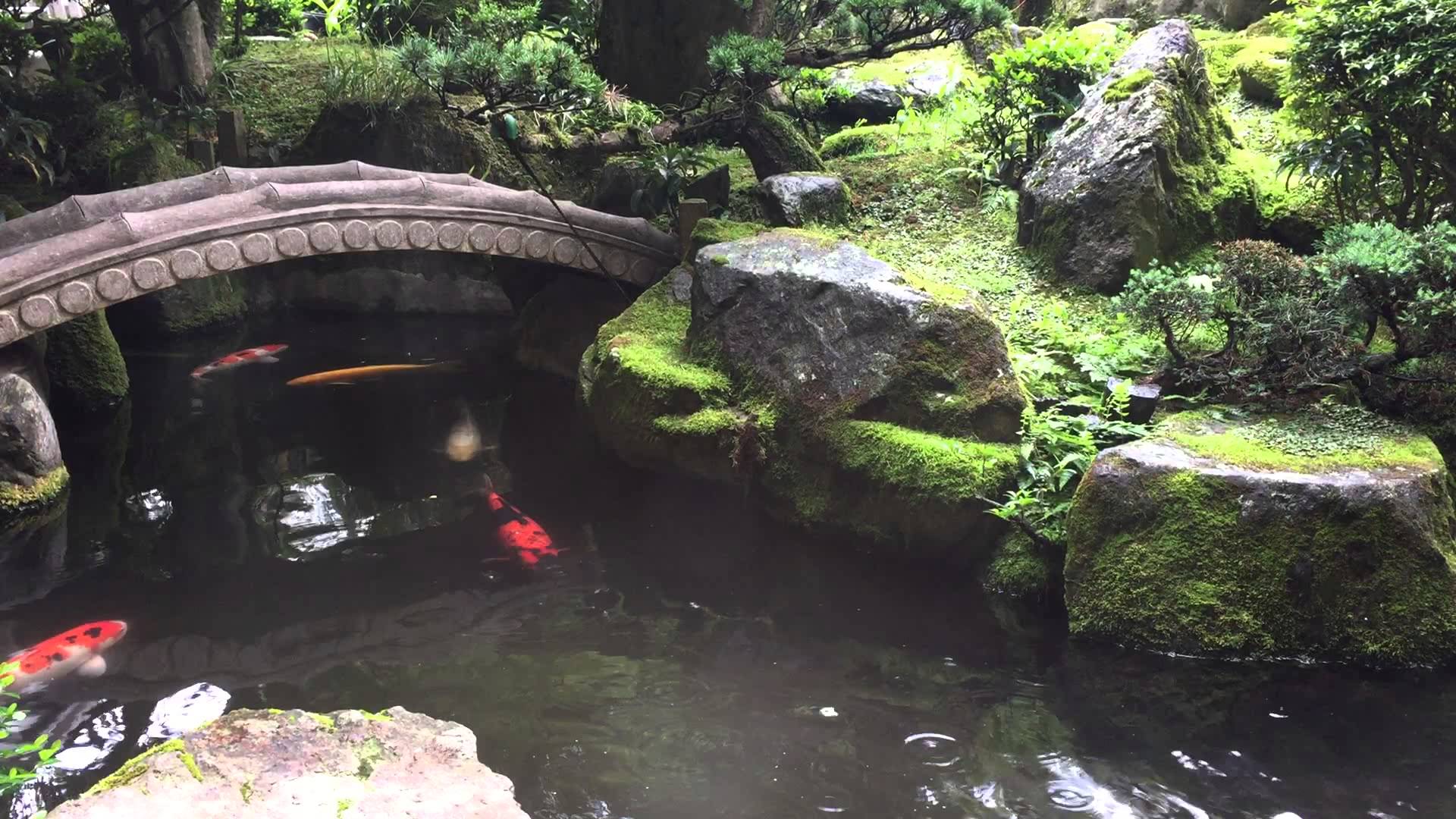 1920x1080 Japanese Koi Pond