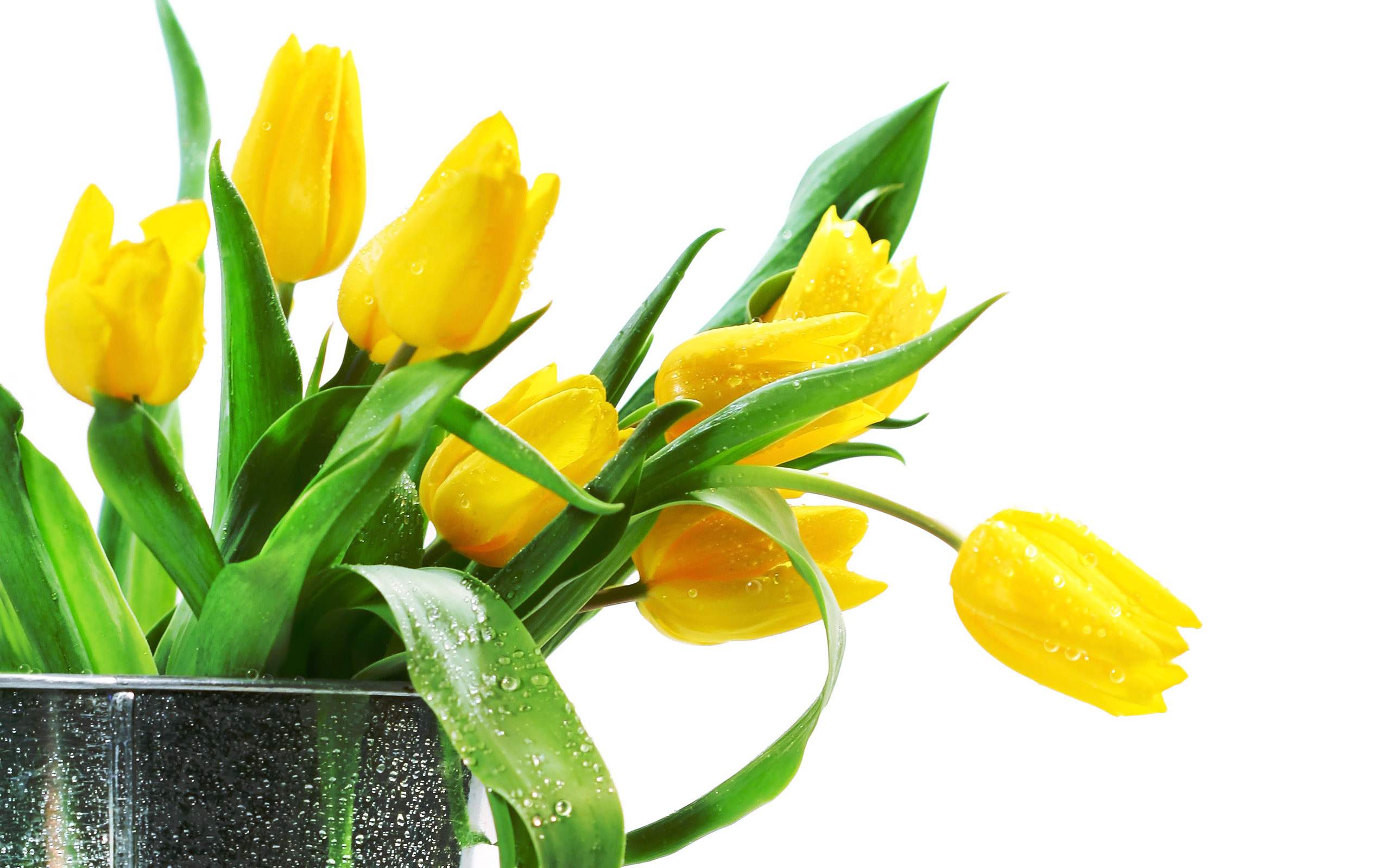 2560x1600 Computer Yellow Flowers Background Wallpaper, Desktop Background 2560x1600px Id