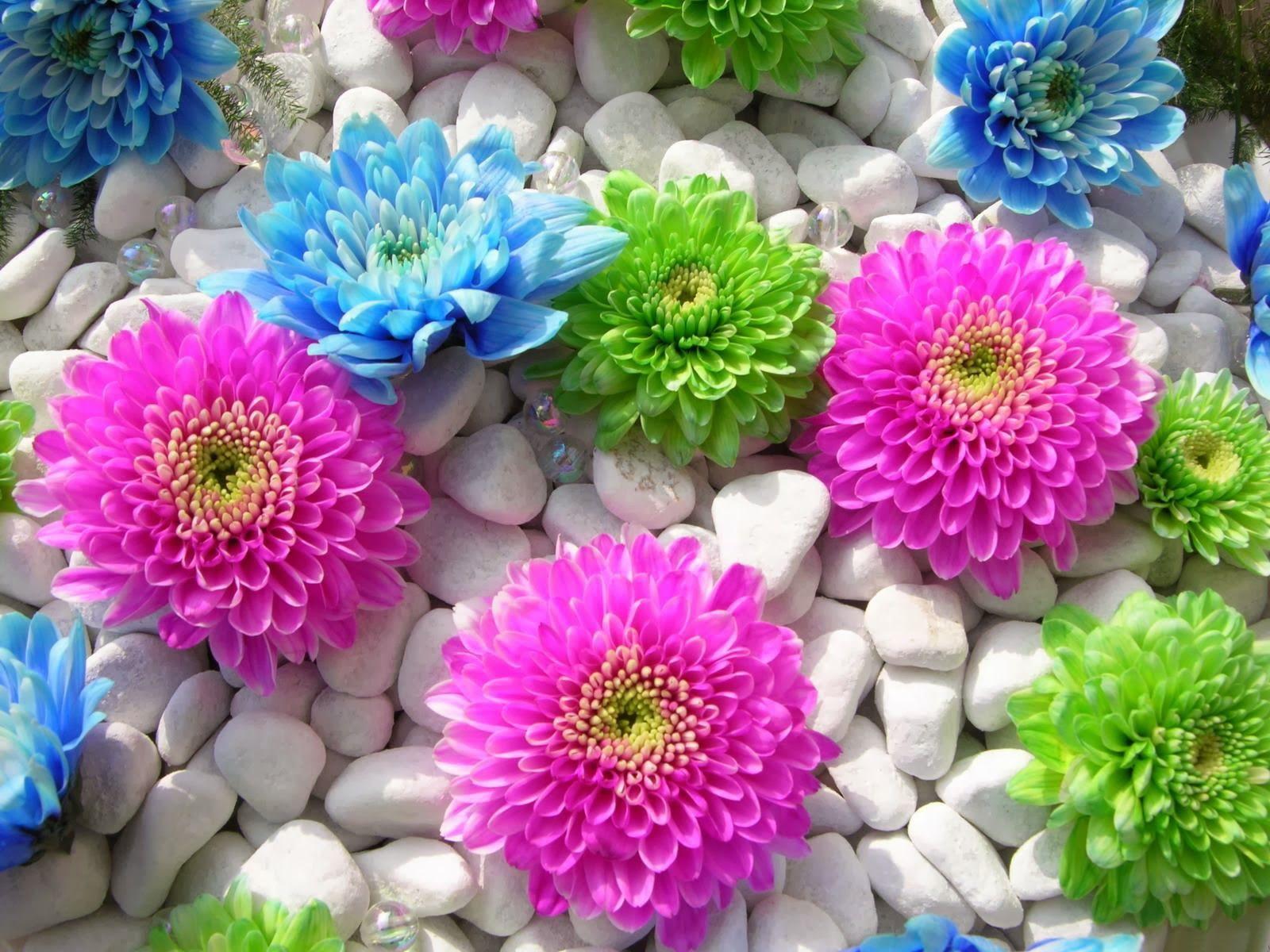 1600x1200 Beautiful Flowers Wallpaper (10)