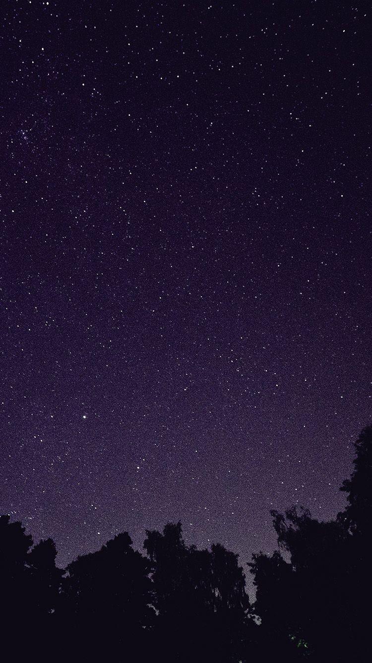 750x1334 iPhone wallpaper. starry night sky star galaxy space dark purple