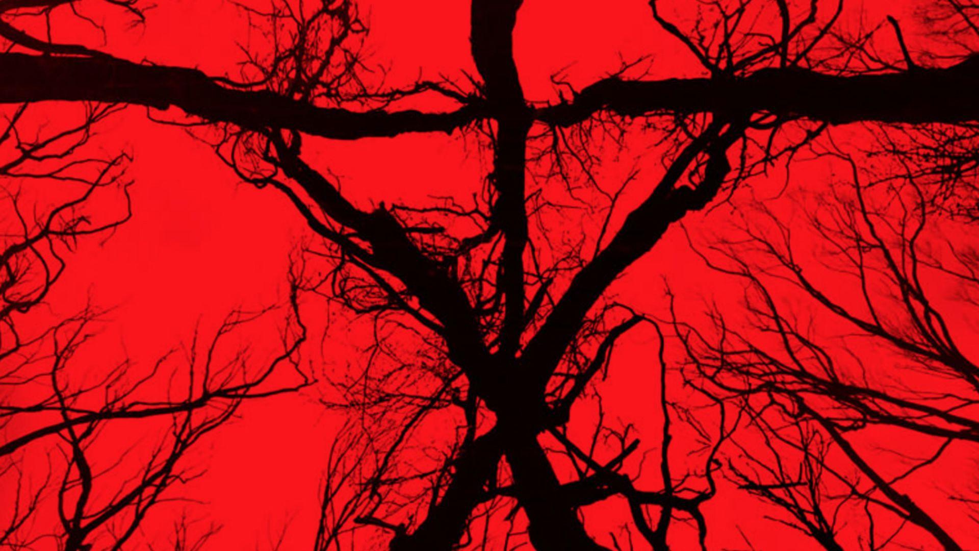 Blair Witch Wallpapers Top Free Blair Witch Backgrounds Wallpaperaccess 7520