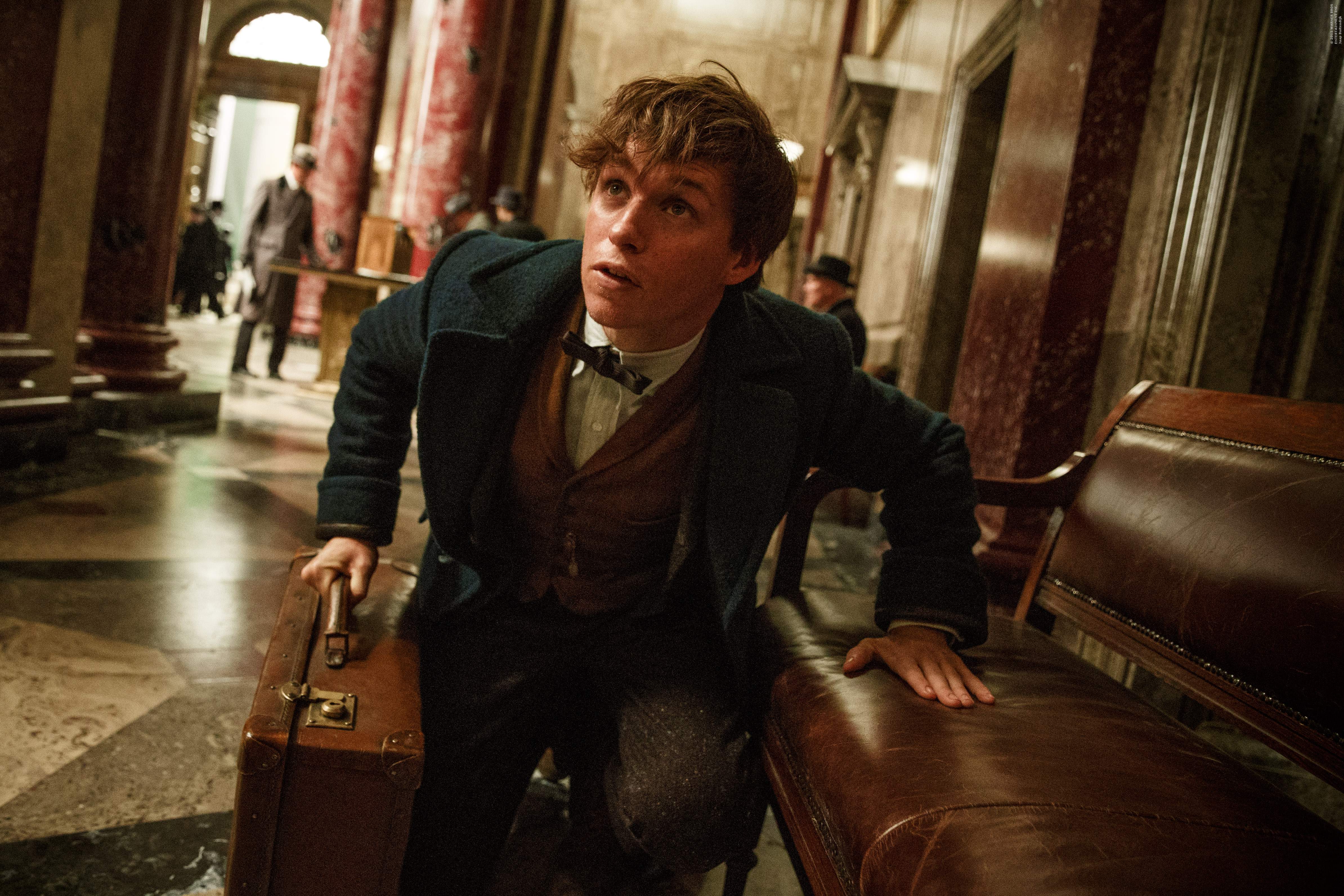 4776x3184 Fantastic Beasts And Where To Find Them Eddie Redmayne Newt Scamander Wallpaper:4776x3184