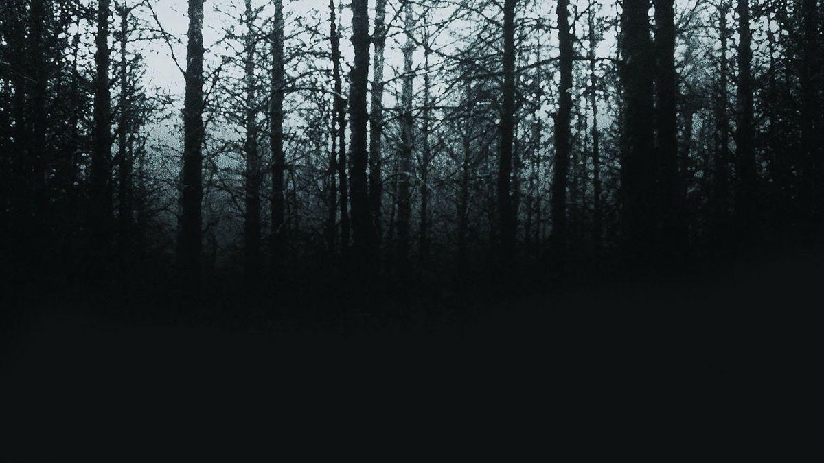 1200x675 The Blair Witch Project (1999) directed by Daniel Myrick, Eduardo Sánchez • Reviews, film + cast • Letterboxd