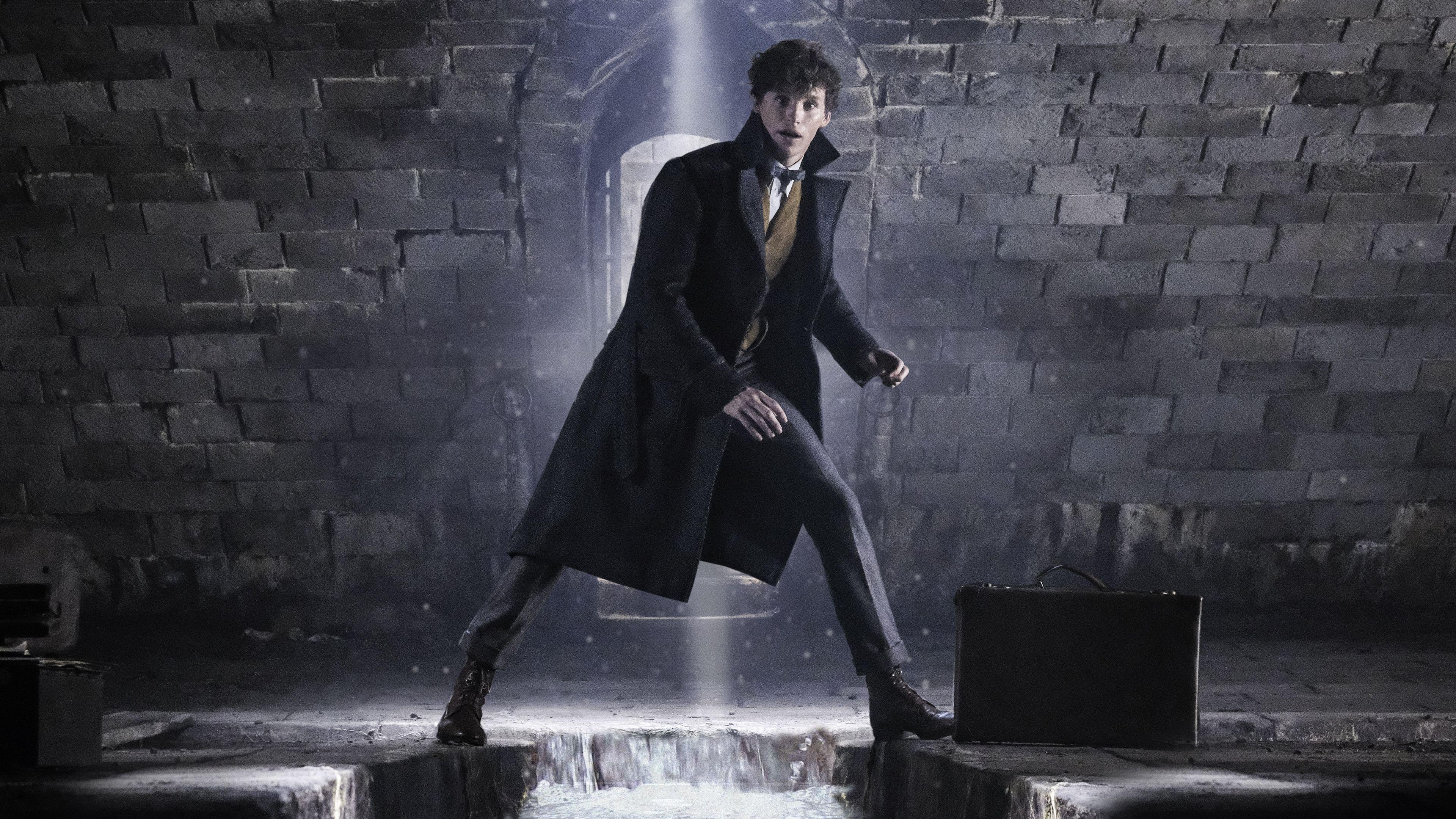 Newt Scamander Wallpapers Top Free Newt Scamander Backgrounds