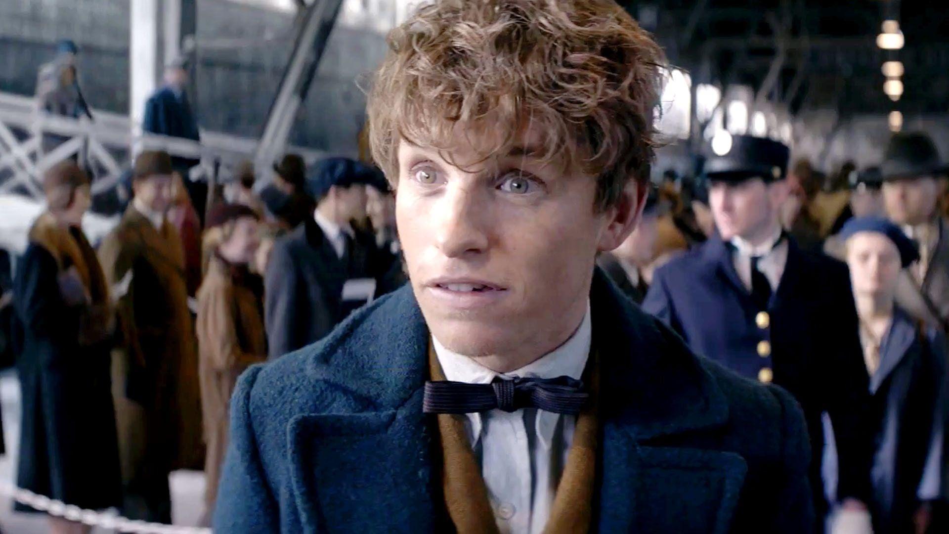 1920x1080 Fantastic Beasts And Where To Find Them Desktop Wallpaper Scamander X Male Reader