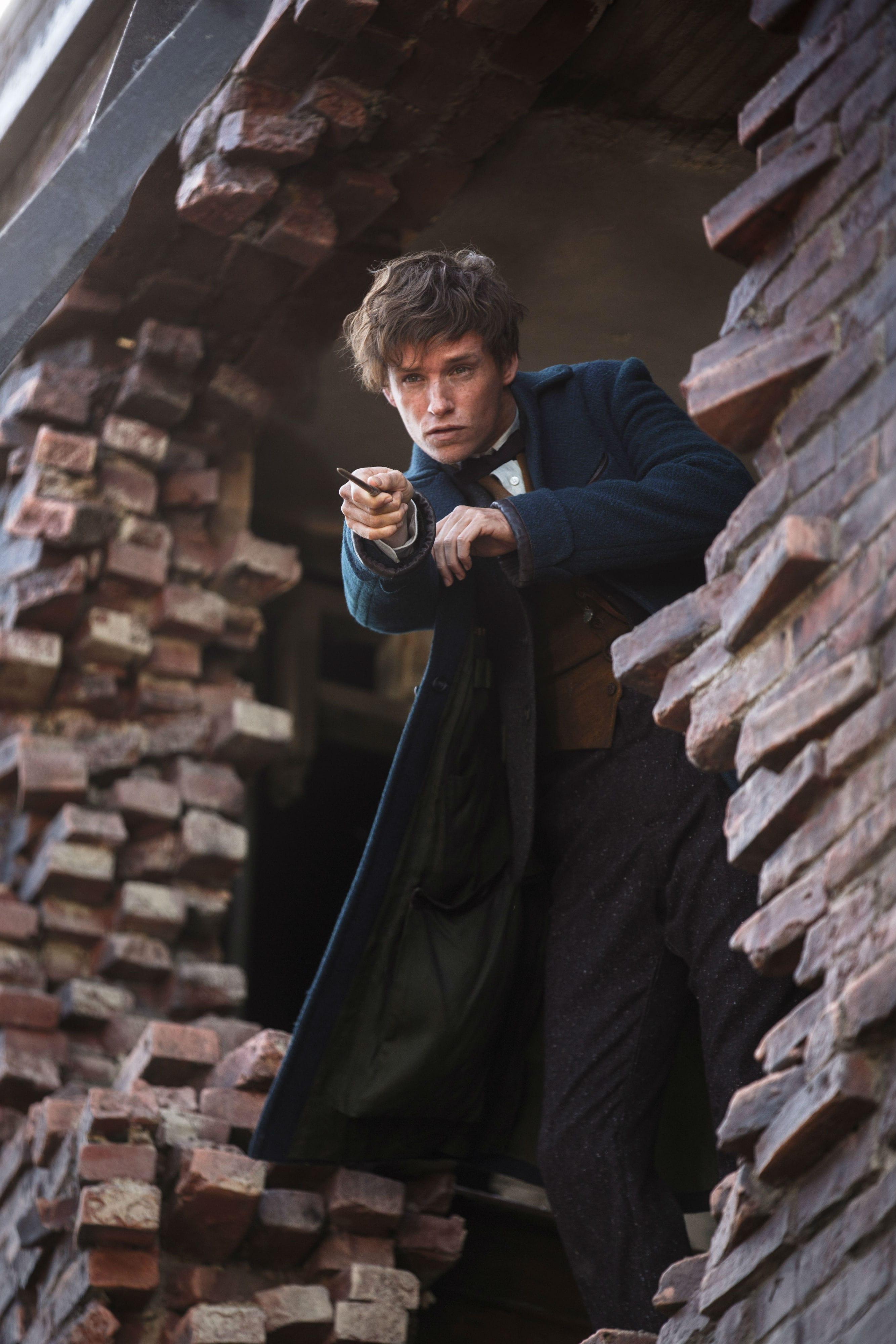 2667x4000 Fantastic Beasts And Where To Find Them Android Wallpaper Redmayne Fantastic Beasts And Where To Find Them Wallpaper & Background Download