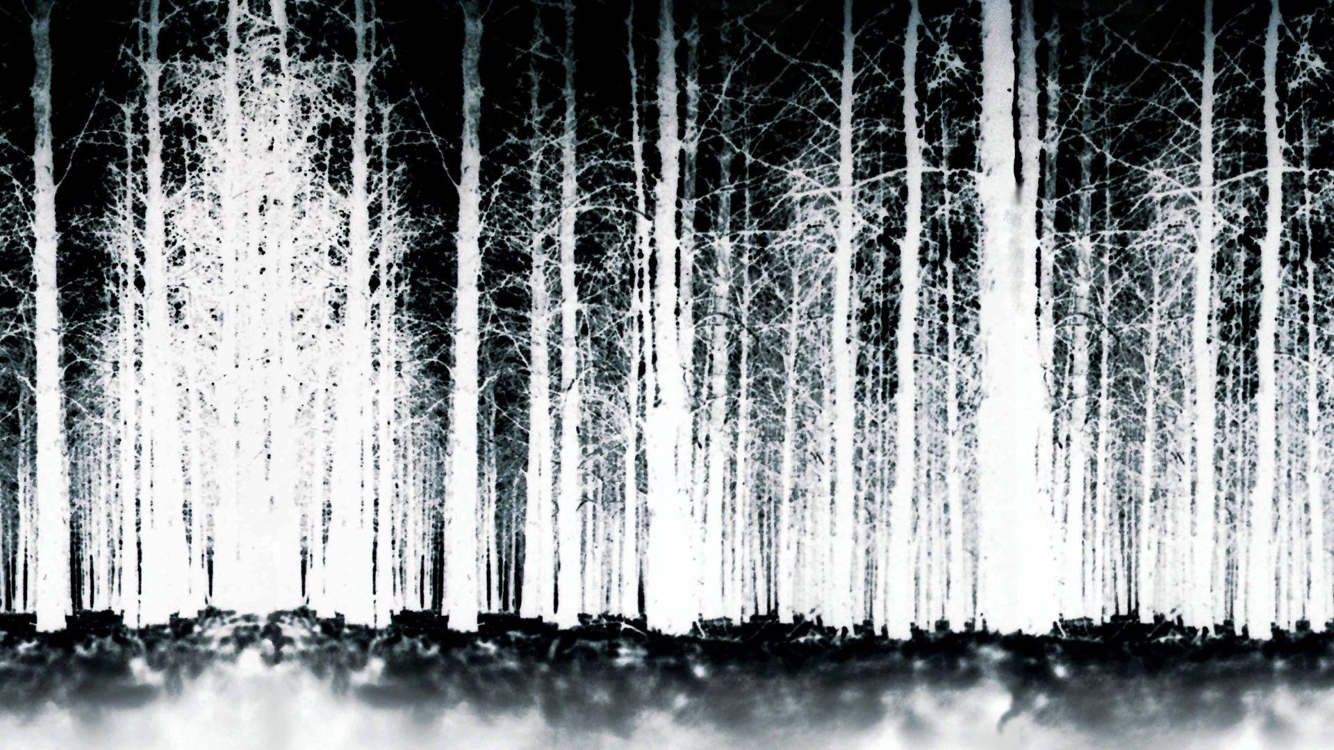 Blair Witch Wallpapers Top Free Blair Witch Backgrounds Wallpaperaccess 0288