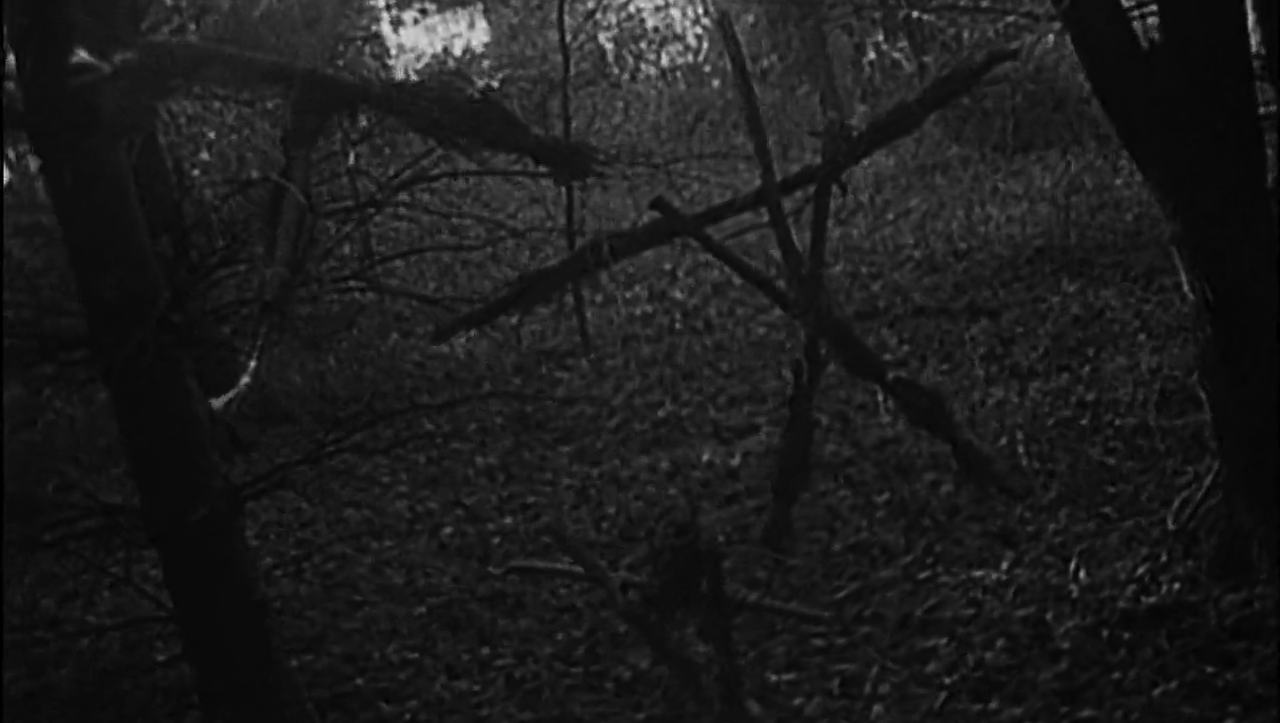 1280x723 Most viewed The Blair Witch Project wallpaperK Wallpaper