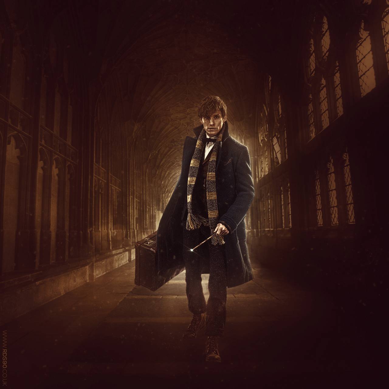 Newt Scamander Wallpapers - Top Free Newt Scamander Backgrounds ...