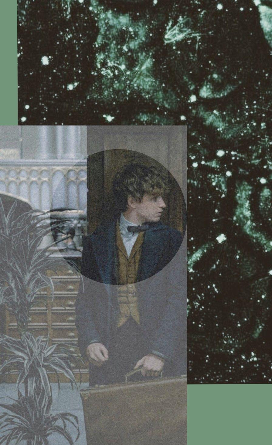 896x1463 Newt Scamander Lockscreen