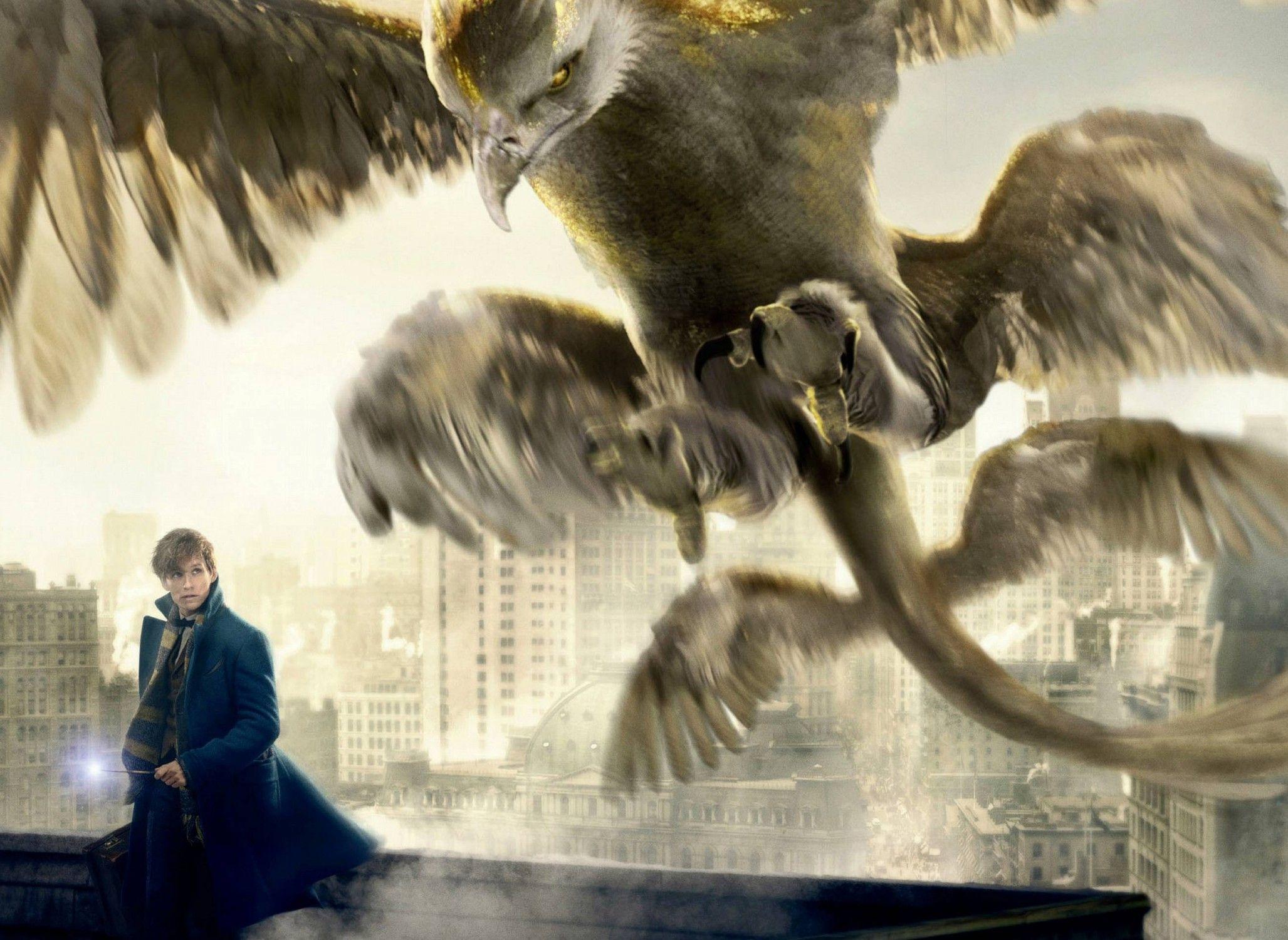 2055x1500 Download 2055x1500 Fantastic Beasts And Where To Find Them, Thunderbird, Newt Scamander Wallpaper